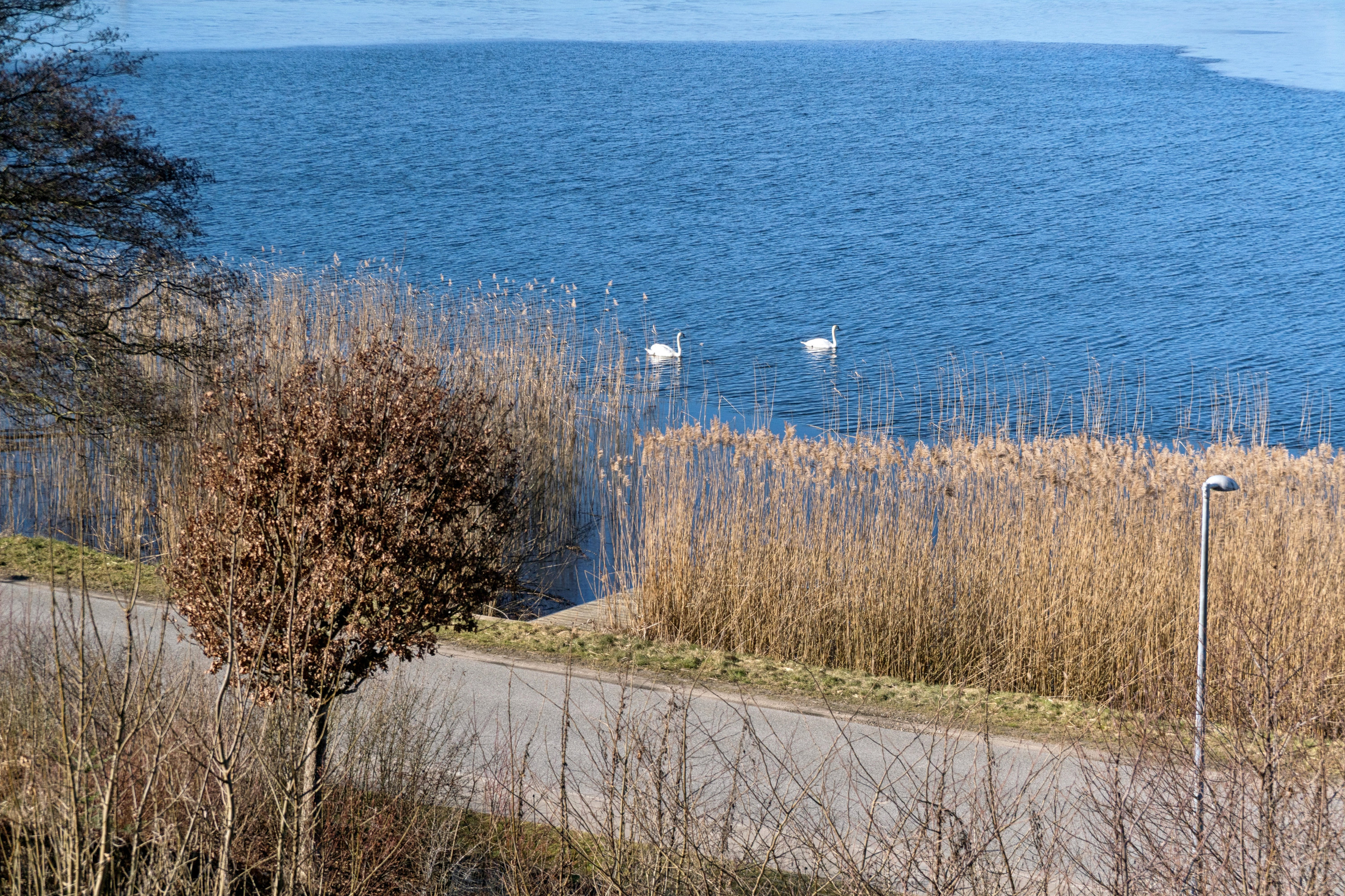 Fremhævet omgivelser billede i fuldskærmstilstand. Billede af Asmildhøjen 2A, 8800 Viborg