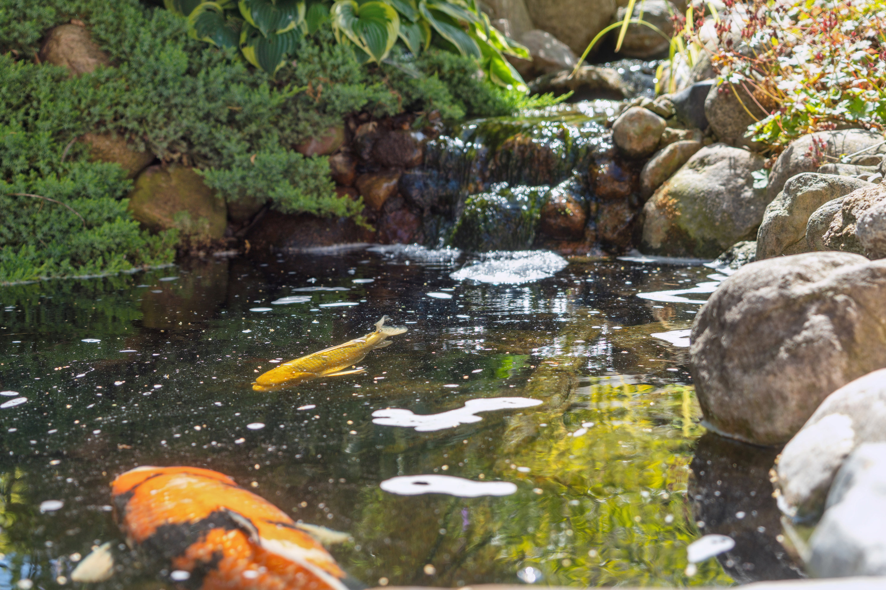 Fremhævet  billede i fuldskærmstilstand. Billede af Kongevejen 5C, 4200 Slagelse