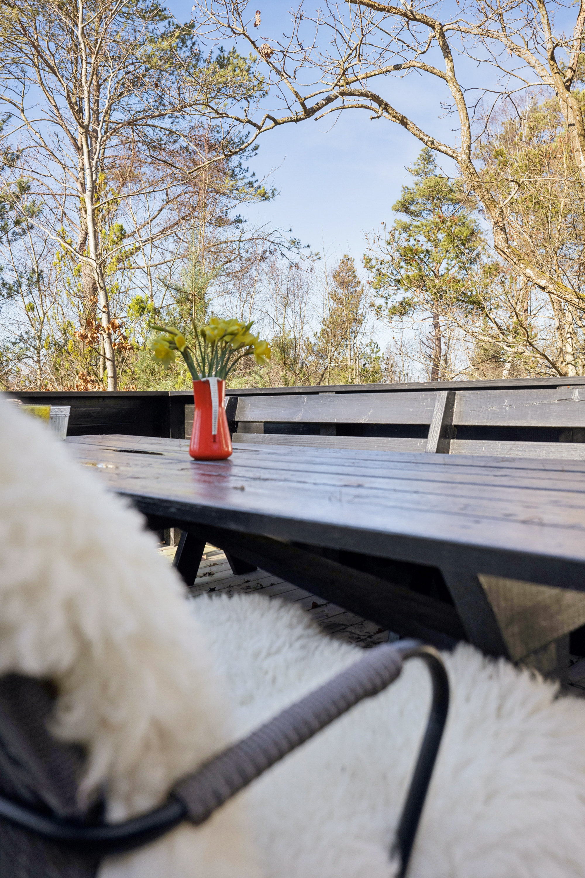Fremhævet terrasse billede i fuldskærmstilstand. Billede af Skovvej 18, Fjellerup Strand, 8585 Glesborg