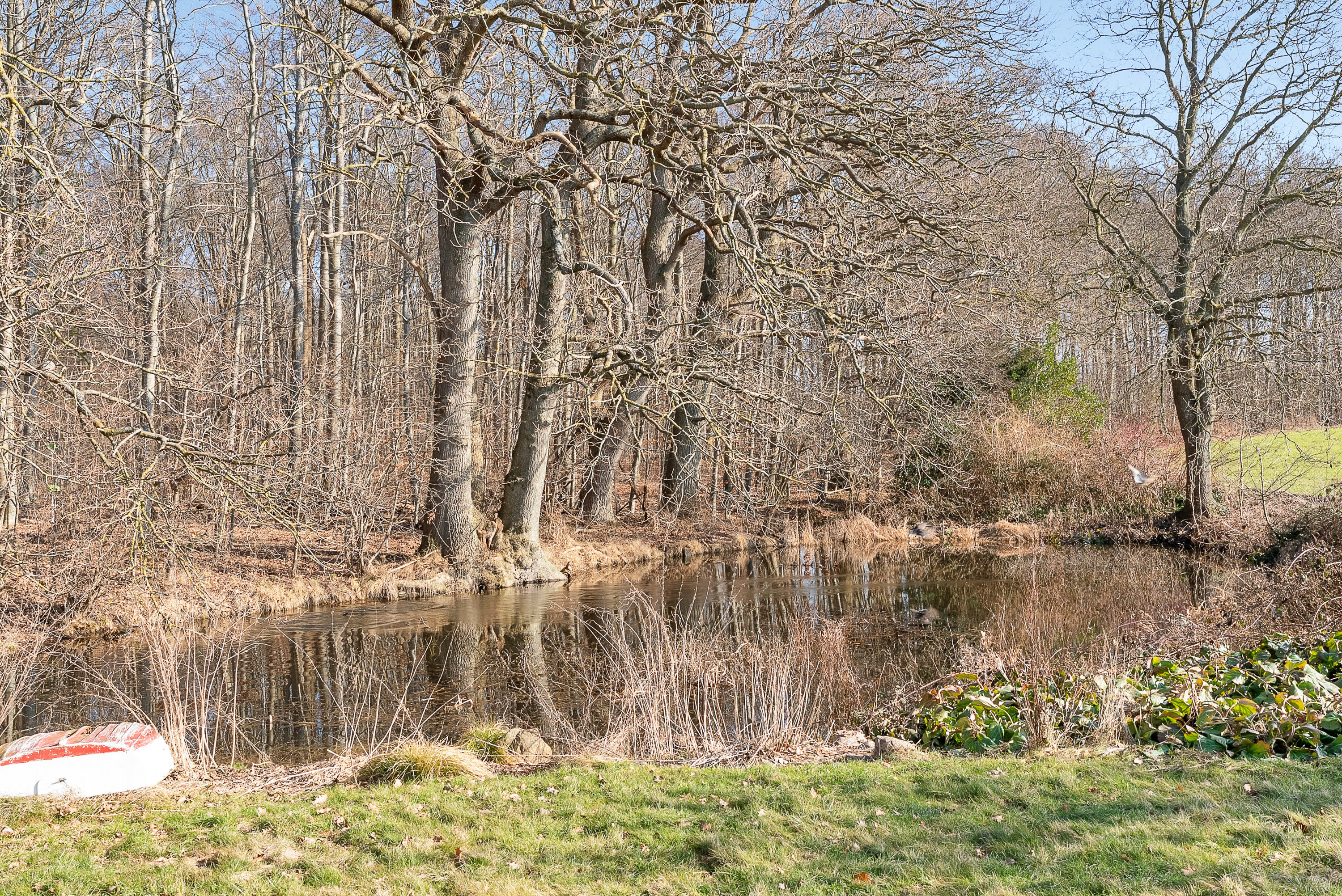 Fremhævet udsigt billede i fuldskærmstilstand. Billede af Alléskovvej 40, 5600 Faaborg