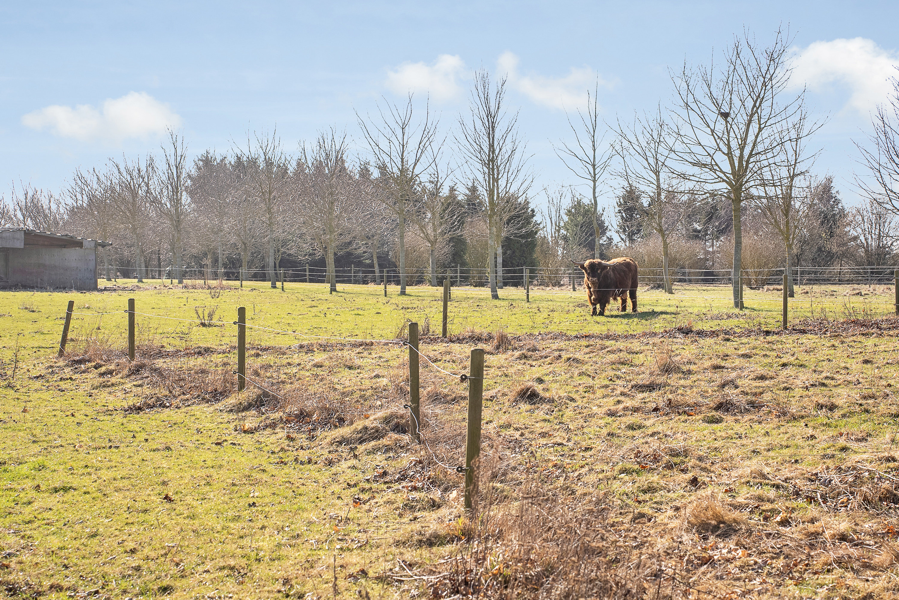Fremhævet have billede i fuldskærmstilstand. Billede af Marbækvej 24, Marbæk, 5450 Otterup
