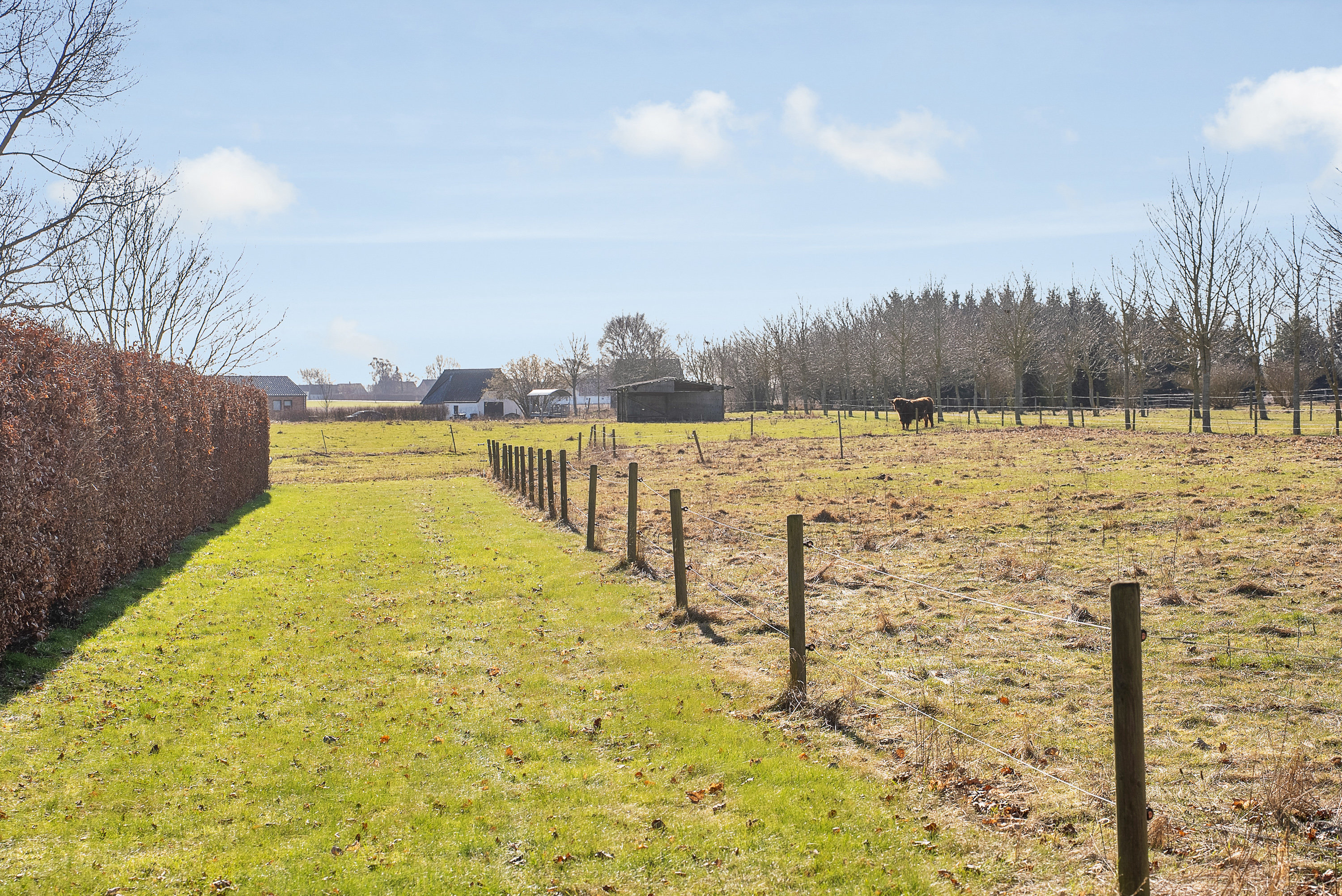 Fremhævet have billede i fuldskærmstilstand. Billede af Marbækvej 24, Marbæk, 5450 Otterup