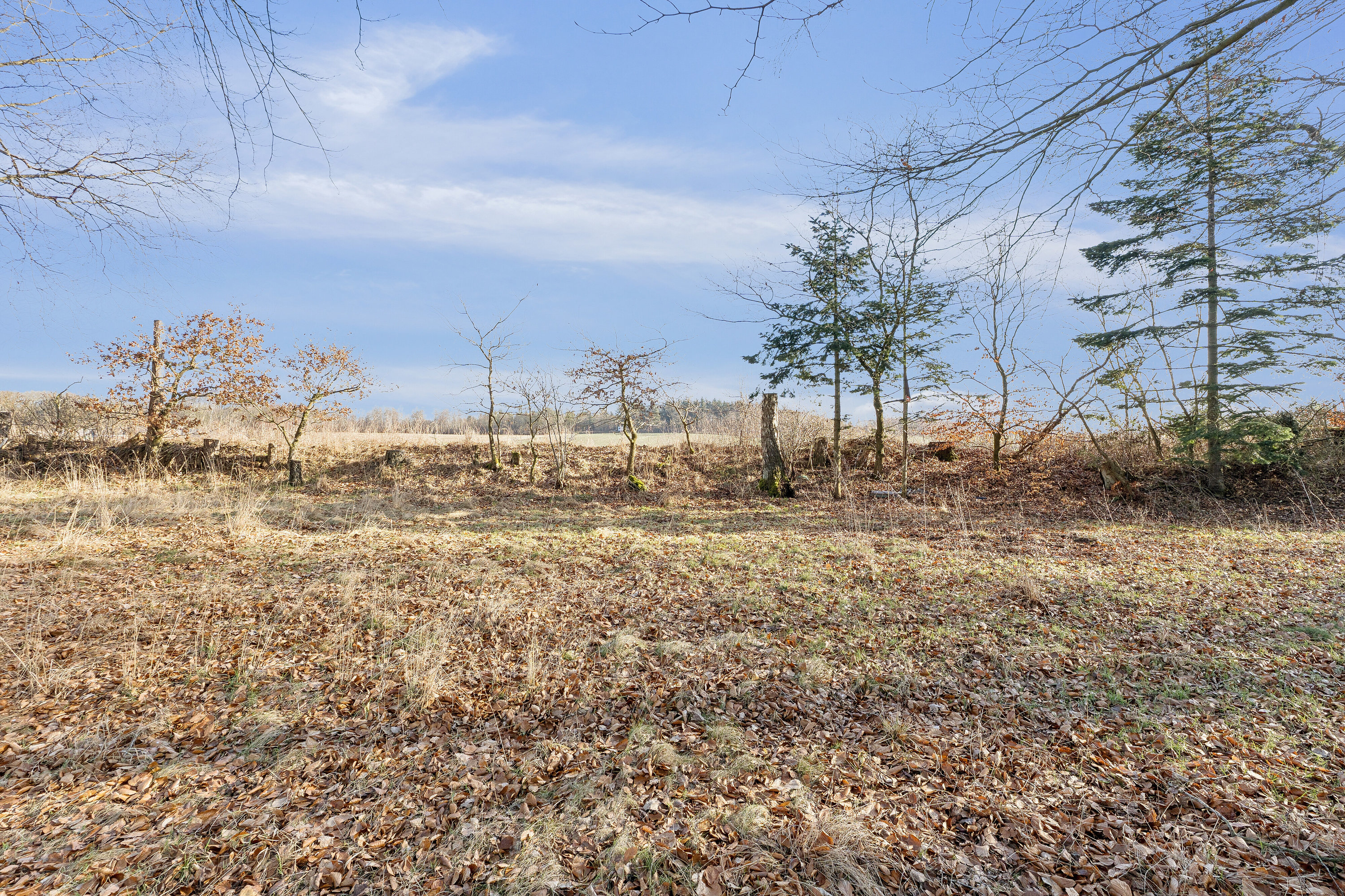 Fremhævet udendørs billede i fuldskærmstilstand. Billede af Sørkelvej 44B, Truust, 8882 Fårvang