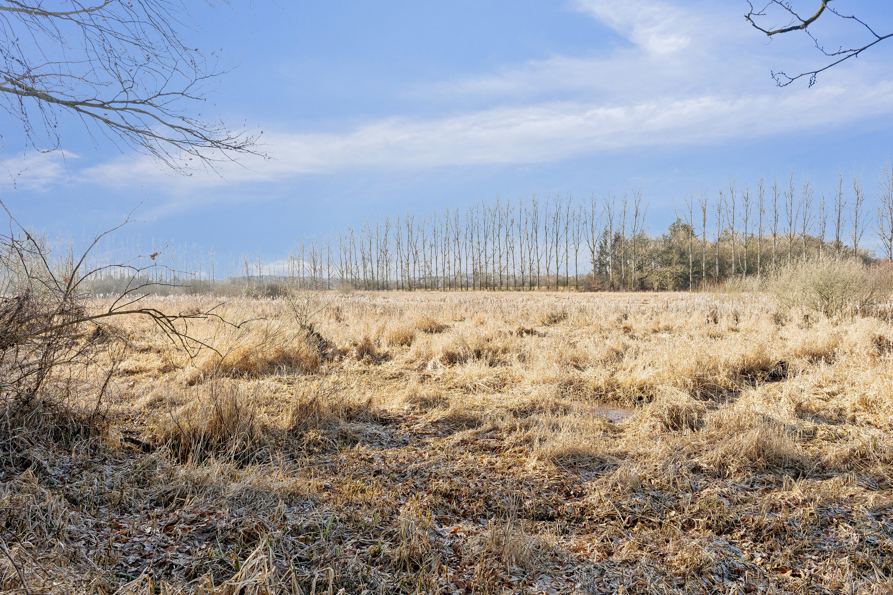Fremhævet udendørs billede i fuldskærmstilstand. Billede af Sørkelvej 44B, Truust, 8882 Fårvang