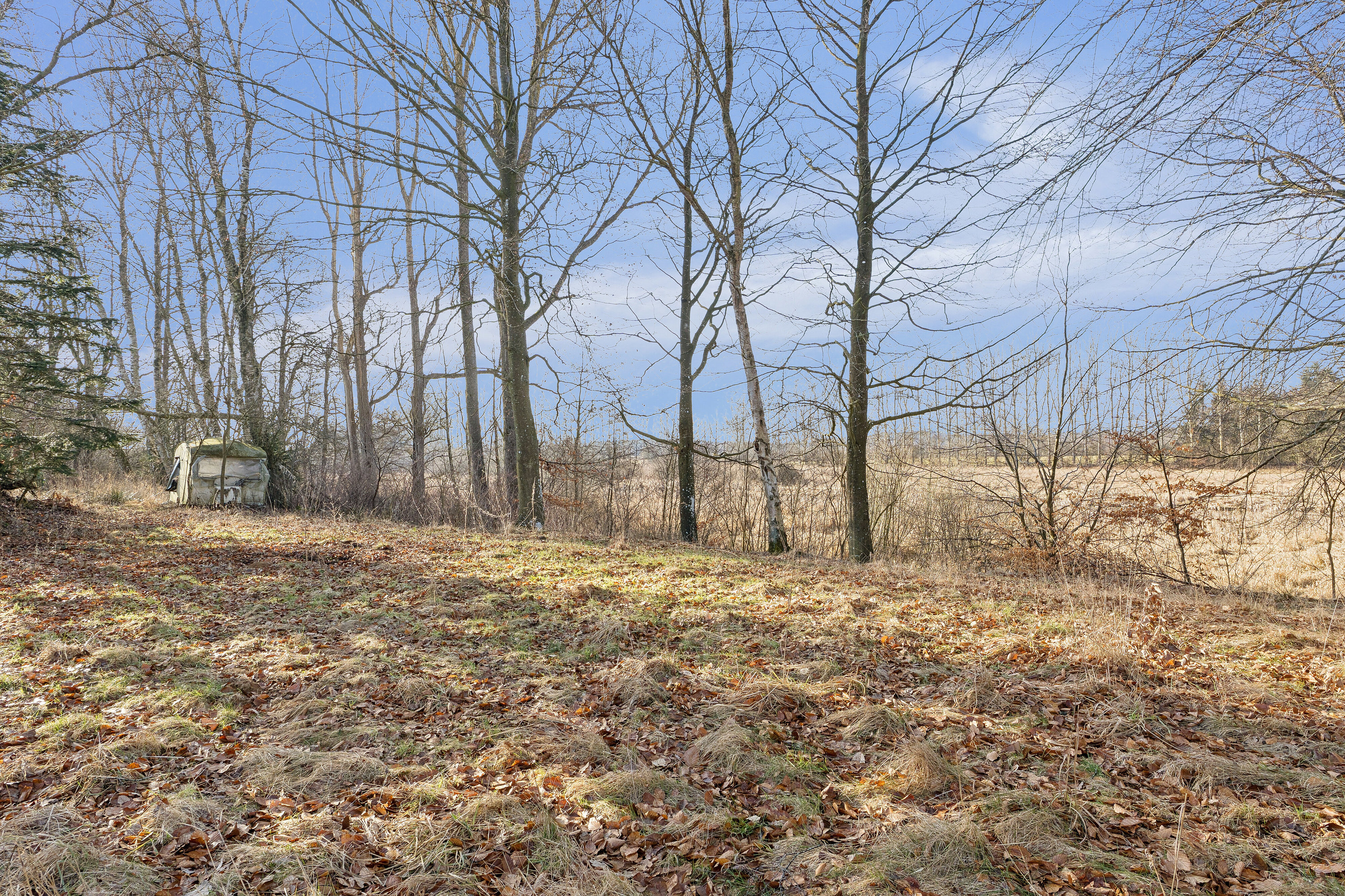 Fremhævet udendørs billede i fuldskærmstilstand. Billede af Sørkelvej 44B, Truust, 8882 Fårvang