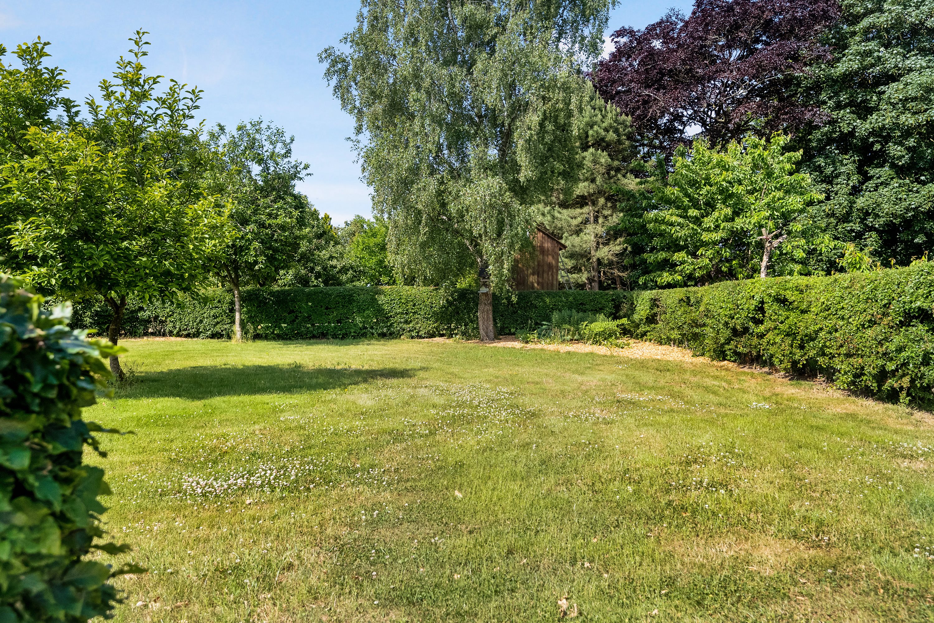 Fremhævet have billede i fuldskærmstilstand. Billede af Nørregade 9, Rørbæk, 9500 Hobro