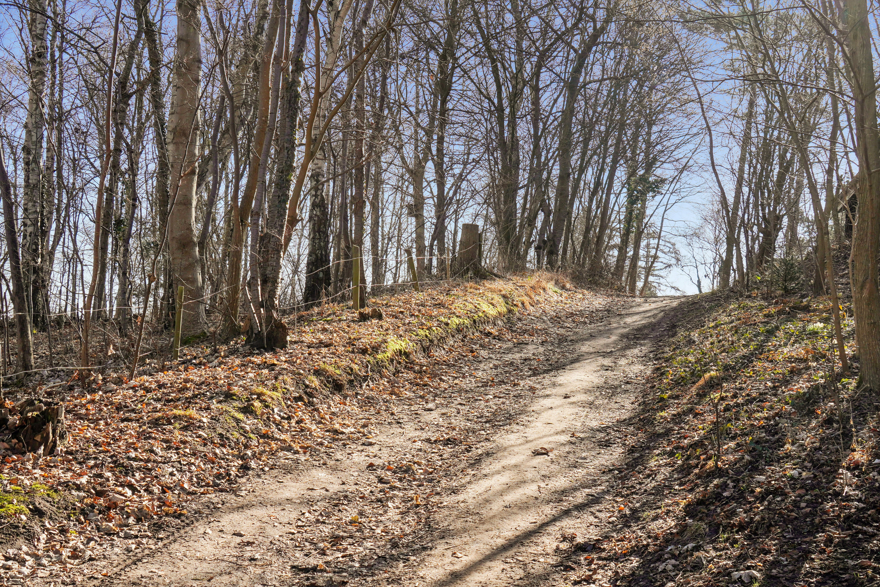 Fremhævet området billede i fuldskærmstilstand. Billede af Skovspurvevej 19, Kregme, 3300 Frederiksværk