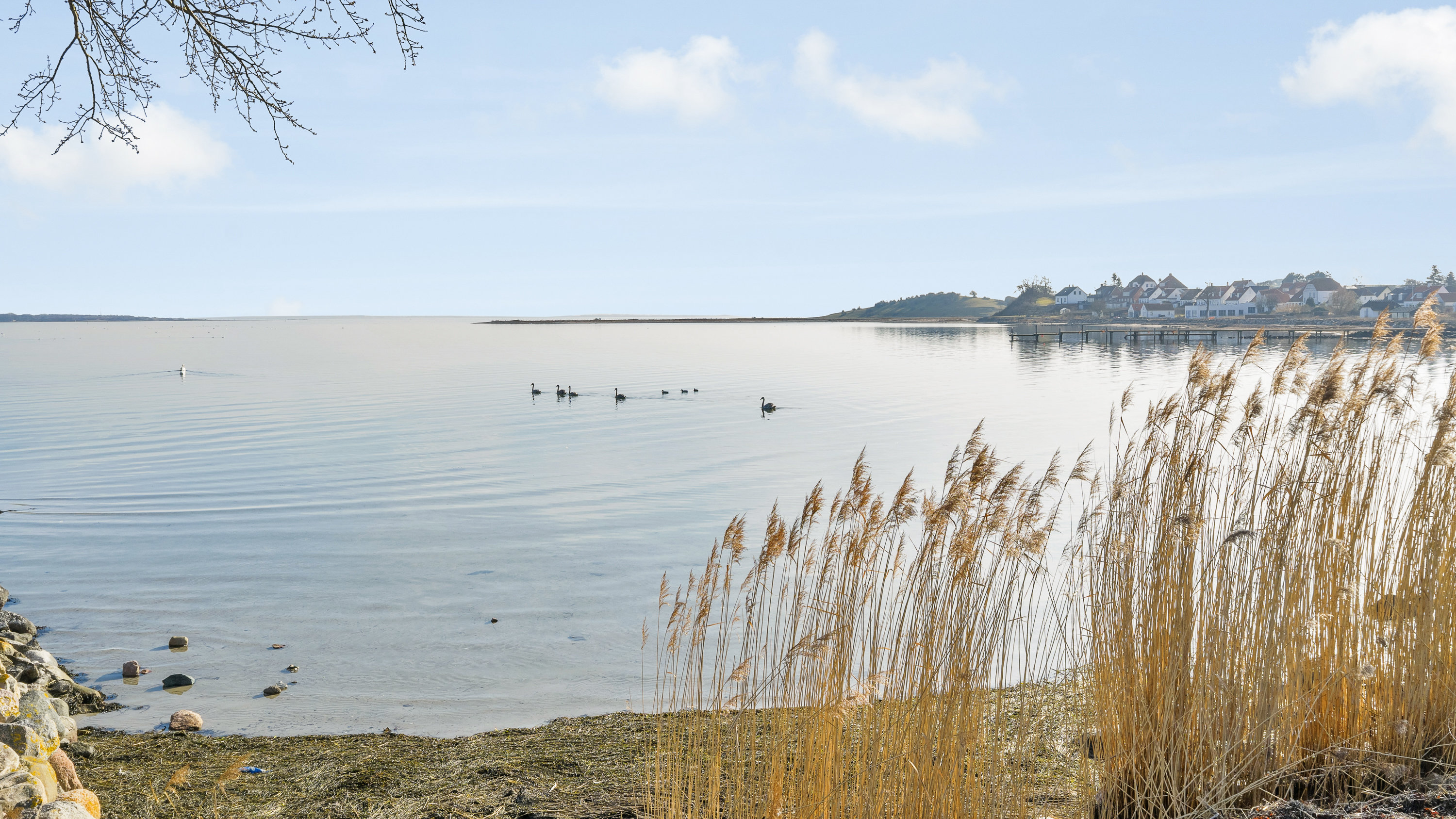 Fremhævet udsigt billede i fuldskærmstilstand. Billede af Fiskervænget 26, Dyreborg, 5600 Faaborg