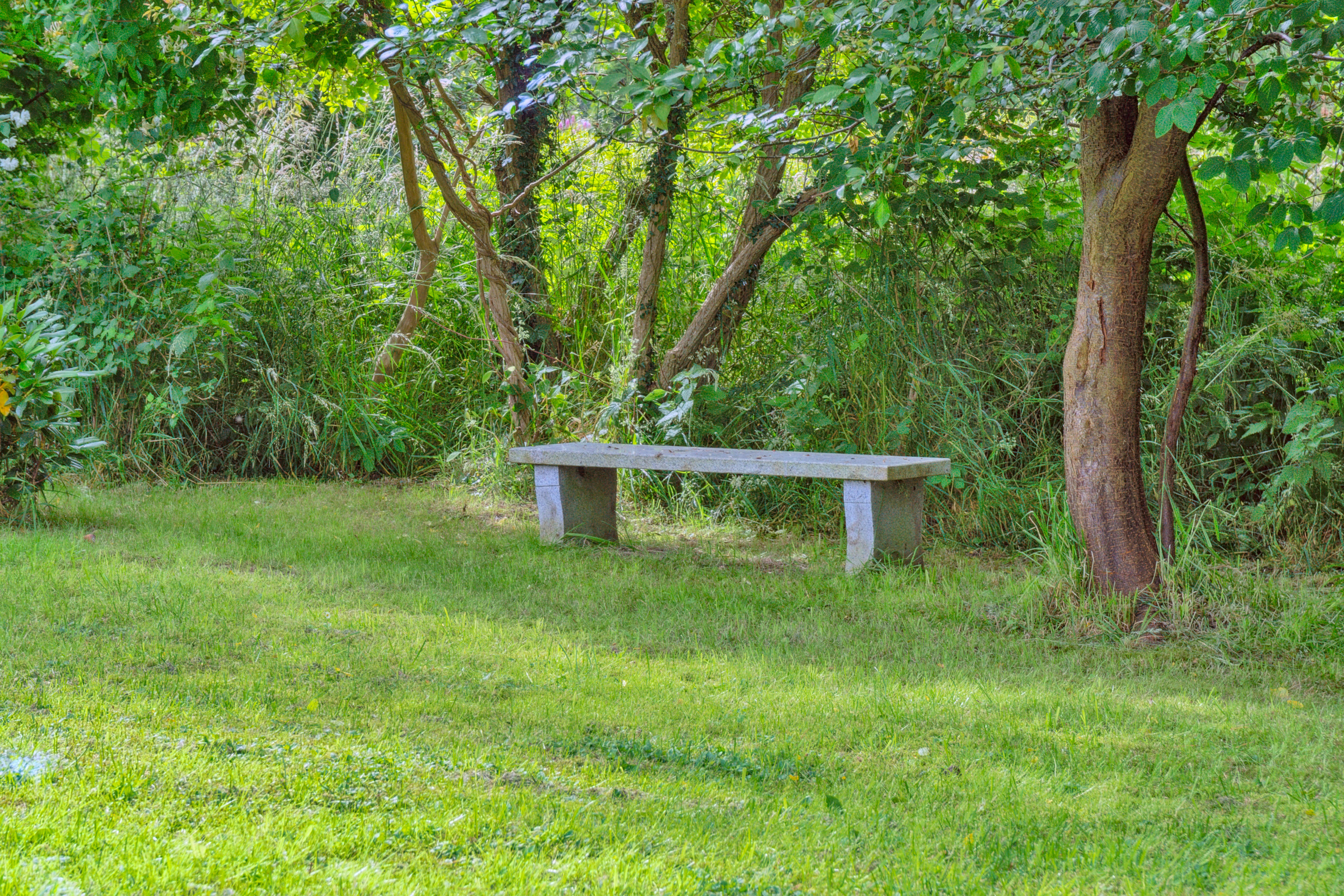 Fremhævet  billede i fuldskærmstilstand. Billede af Kastanievænget 10, Bøged Strand, 4720 Præstø