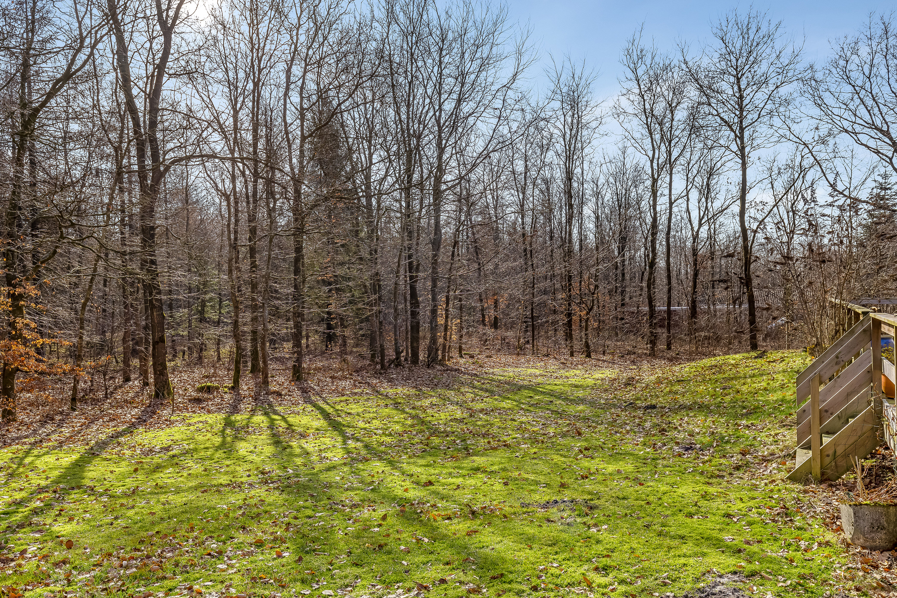 Fremhævet andet billede i fuldskærmstilstand. Billede af Pionerskoven 10, Arrild, 6520 Toftlund