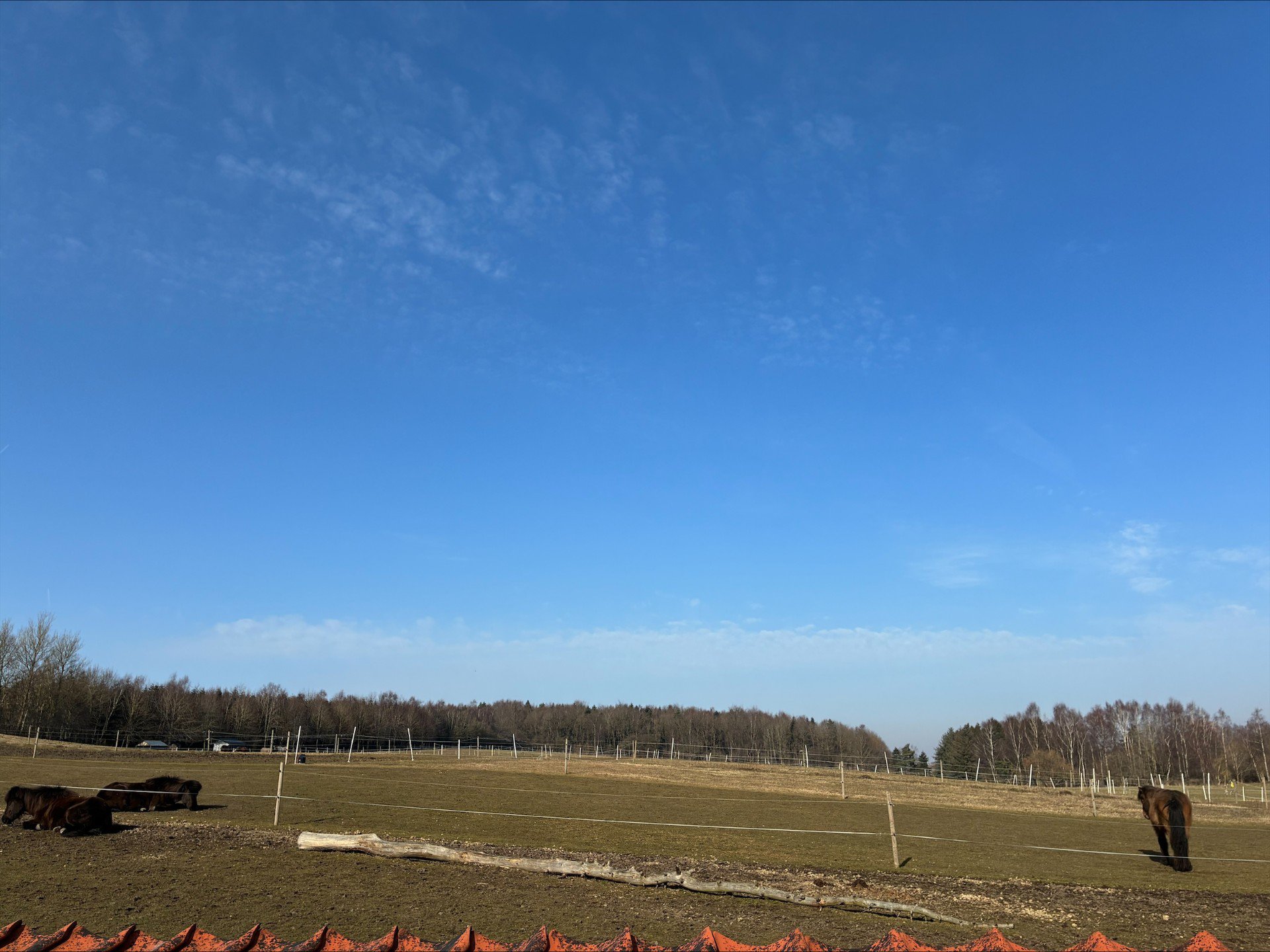 Fremhævet  billede i fuldskærmstilstand. Billede af Snubbekorsvej 13, Vridsløsemagle, 2630 Taastrup