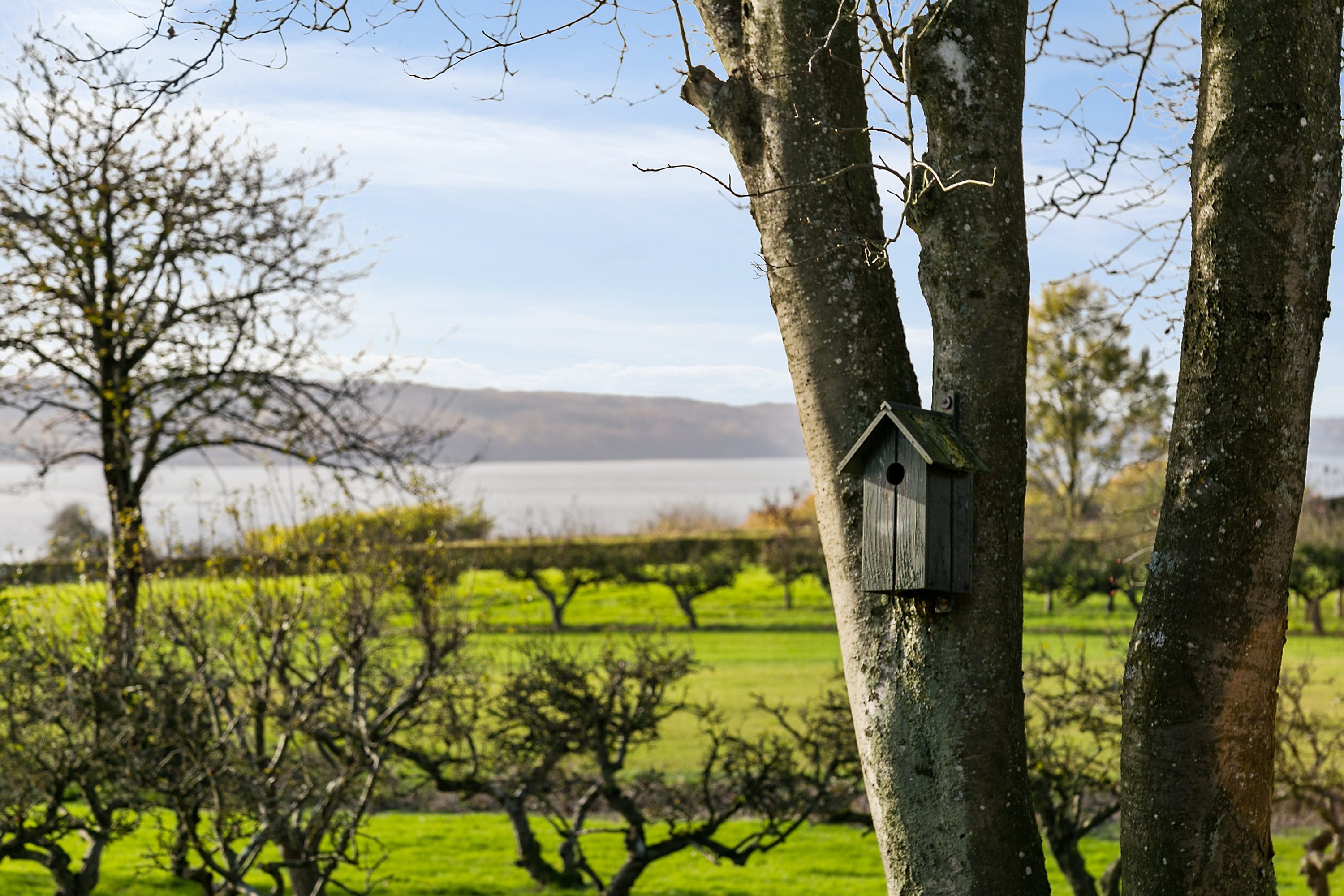 Fremhævet 2850 billede i fuldskærmstilstand. Billede af Stabelhjørnevej 30, 8721 Daugård