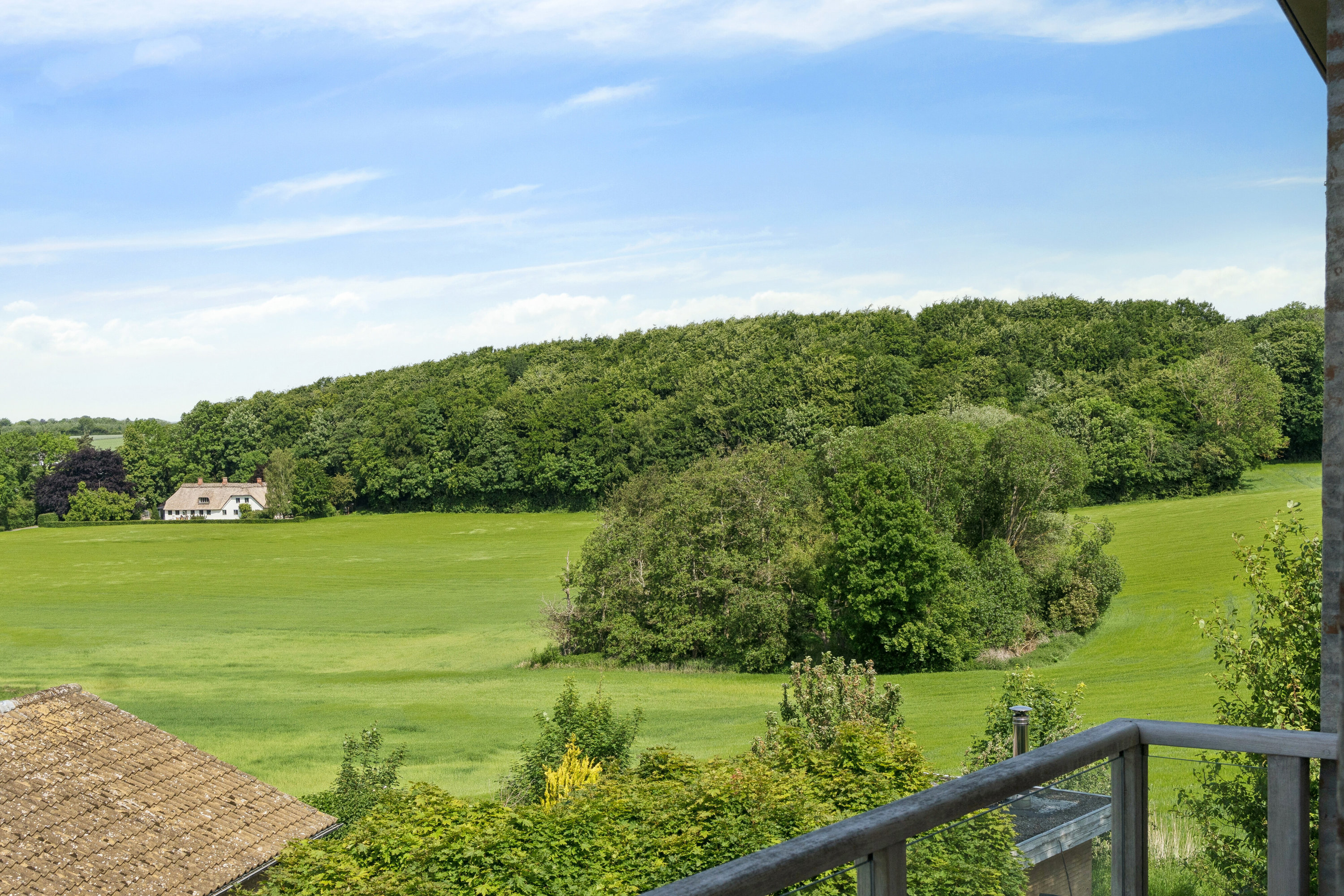 Fremhævet set fra haven billede i fuldskærmstilstand. Billede af Rosevej 15, Ballen, 5762 Vester Skerninge