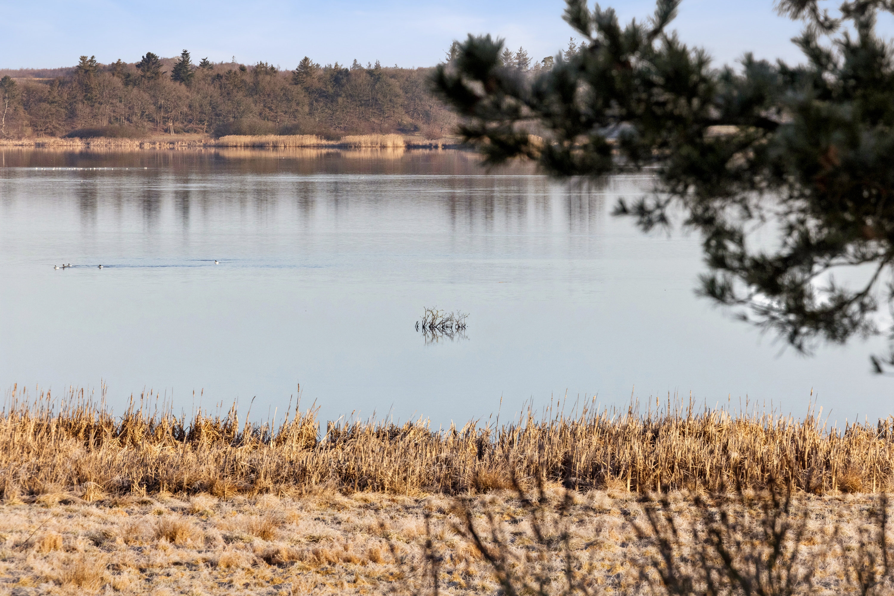 Fremhævet disponibelt rum billede i fuldskærmstilstand. Billede af Gammelstrupvej 12, 8831 Løgstrup