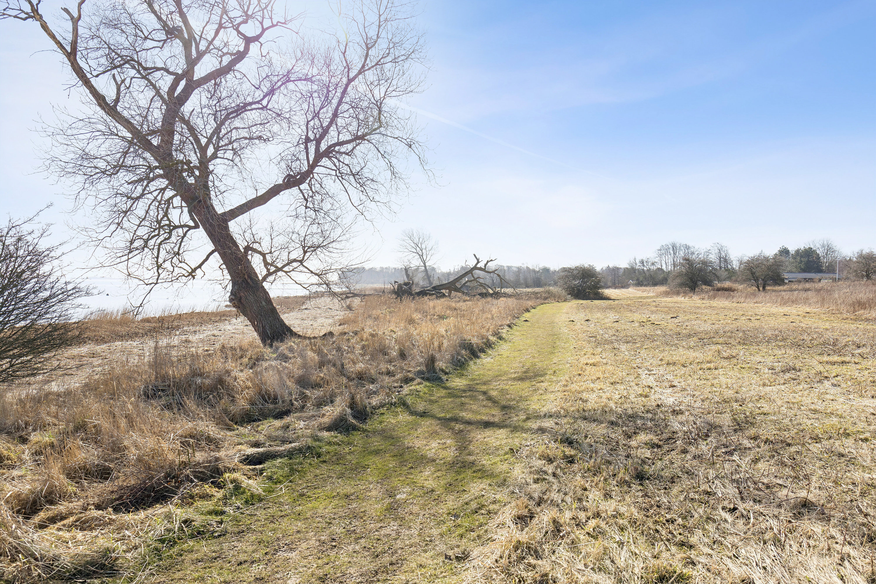 Fremhævet udendørs billede i fuldskærmstilstand. Billede af Anemonevej 10, Bønsvig Str, 4720 Præstø