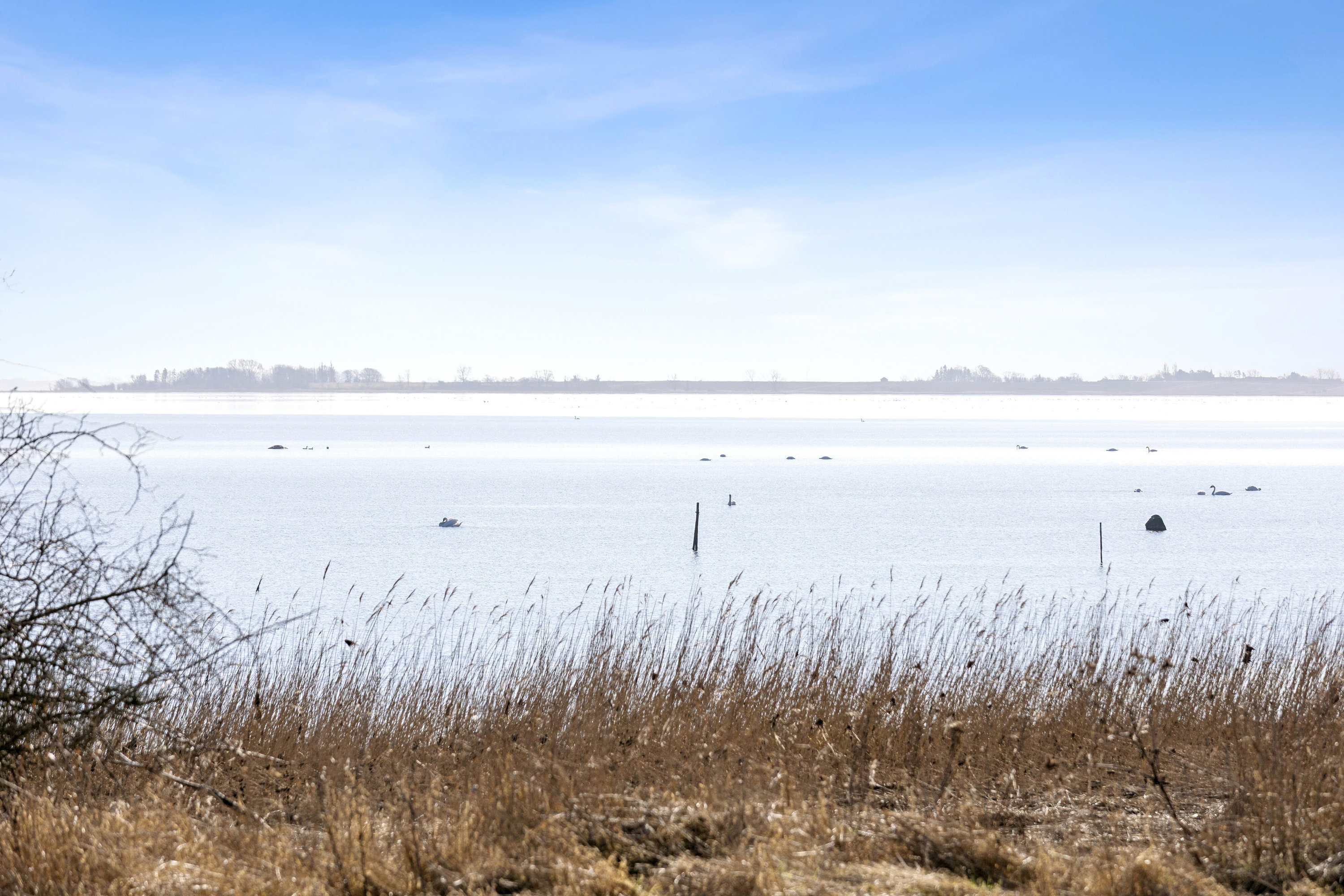 Fremhævet udendørs billede i fuldskærmstilstand. Billede af Anemonevej 10, Bønsvig Str, 4720 Præstø
