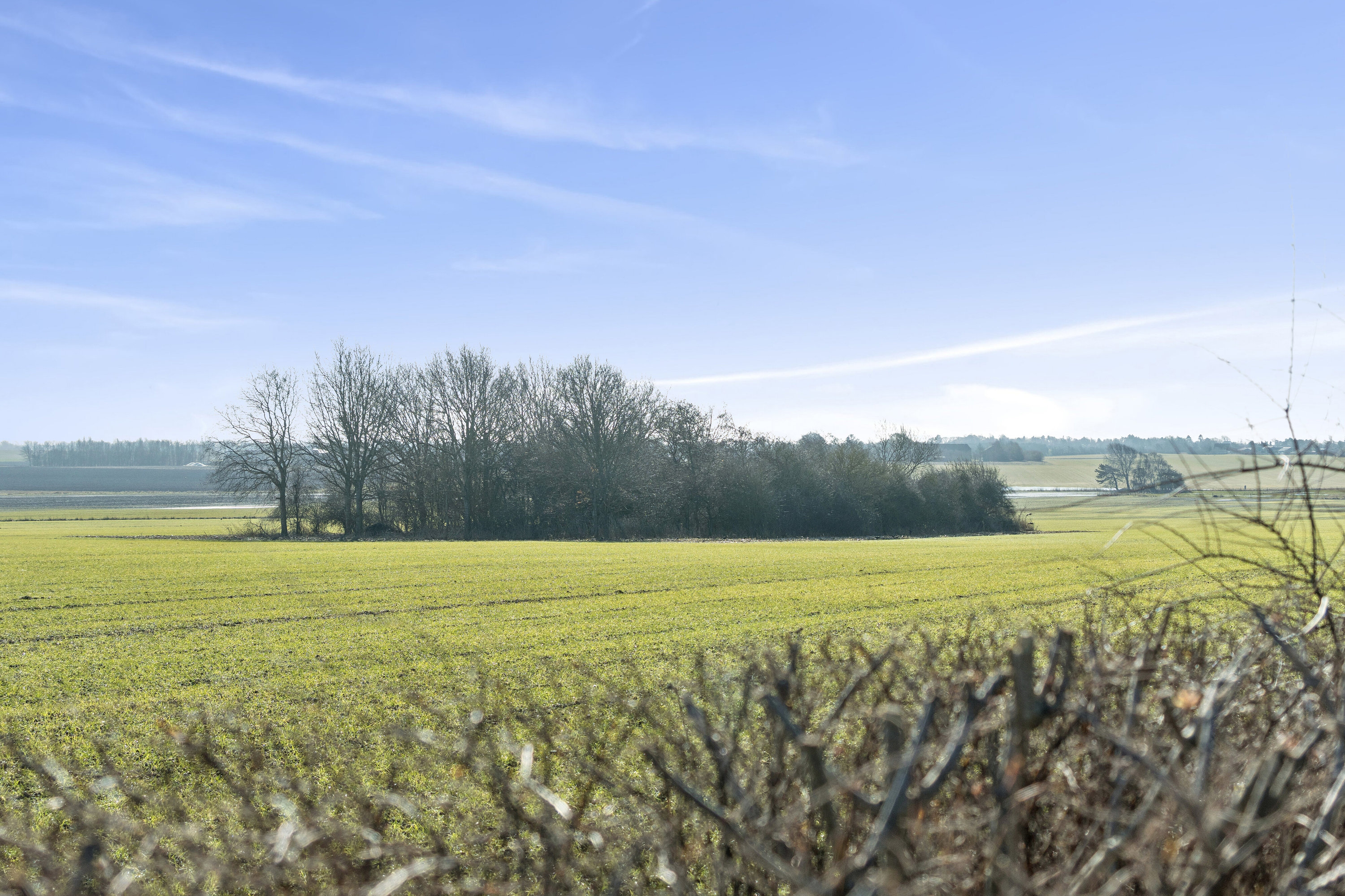 Fremhævet udendørs billede i fuldskærmstilstand. Billede af Spættevej 5, St Kongsmark, 4200 Slagelse