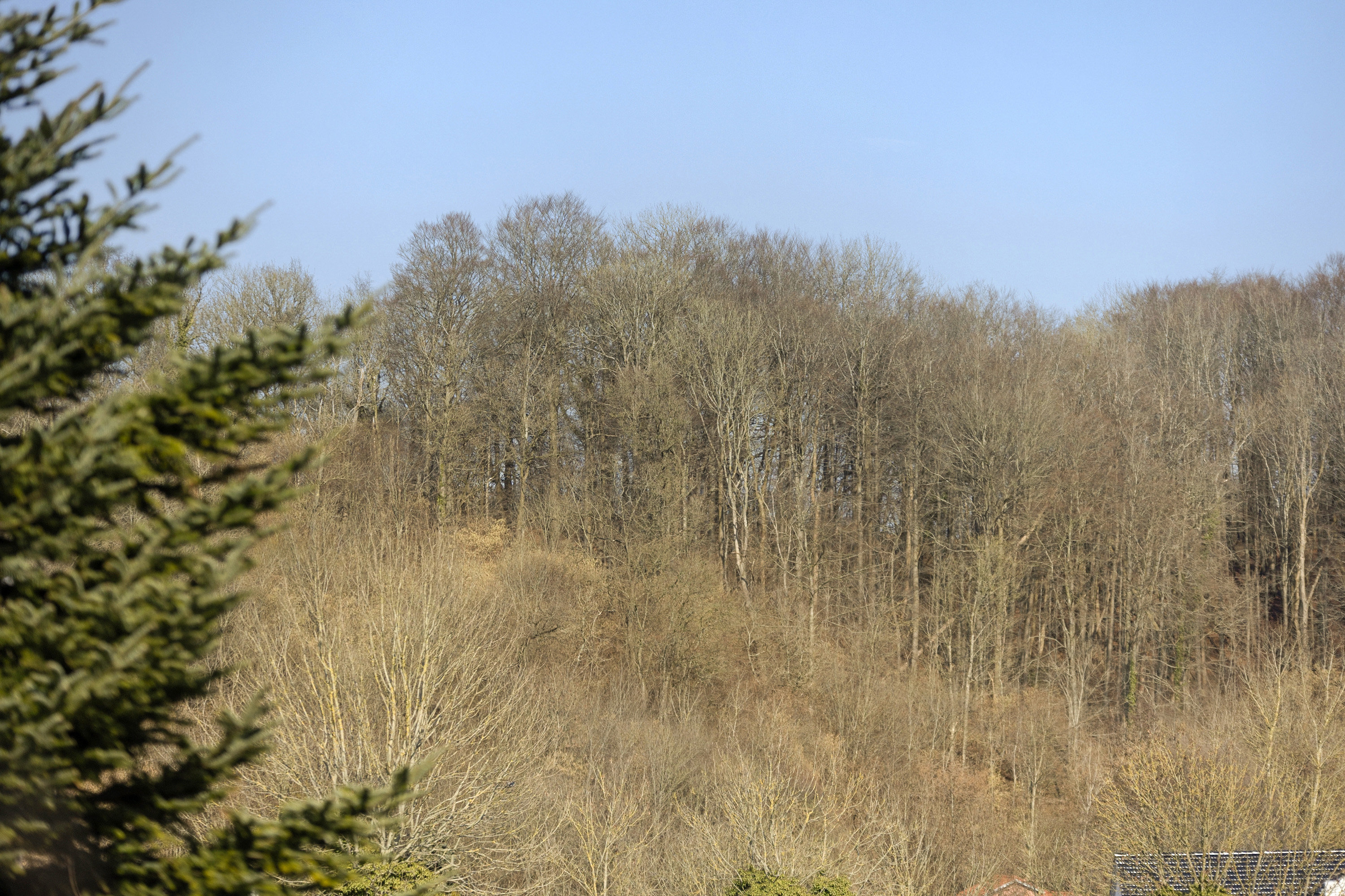 Fremhævet område billede i fuldskærmstilstand. Billede af Løgumklostervej 168, 6200 Aabenraa