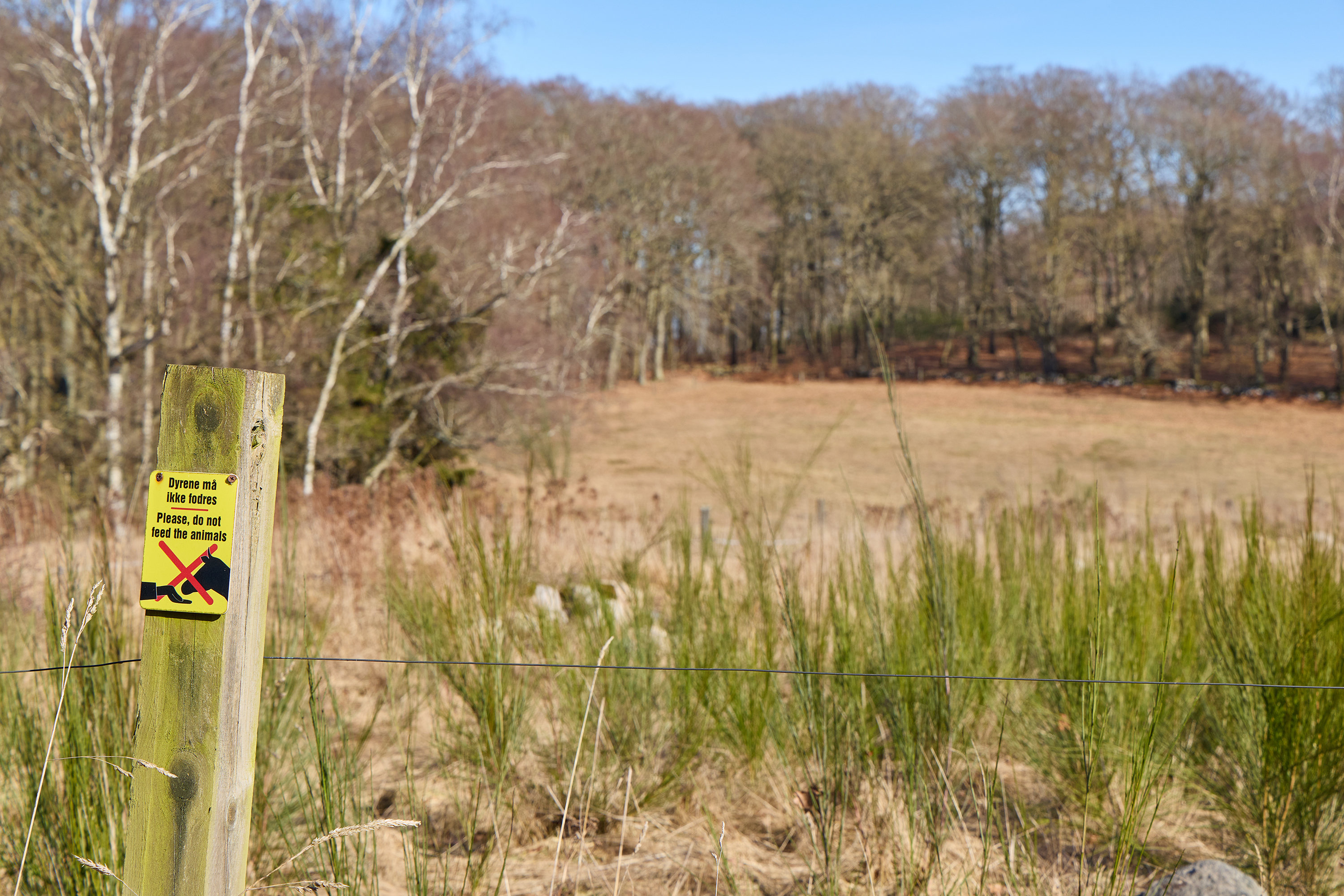 Fremhævet område billede i fuldskærmstilstand. Billede af Meransletten 1, 3630 Jægerspris