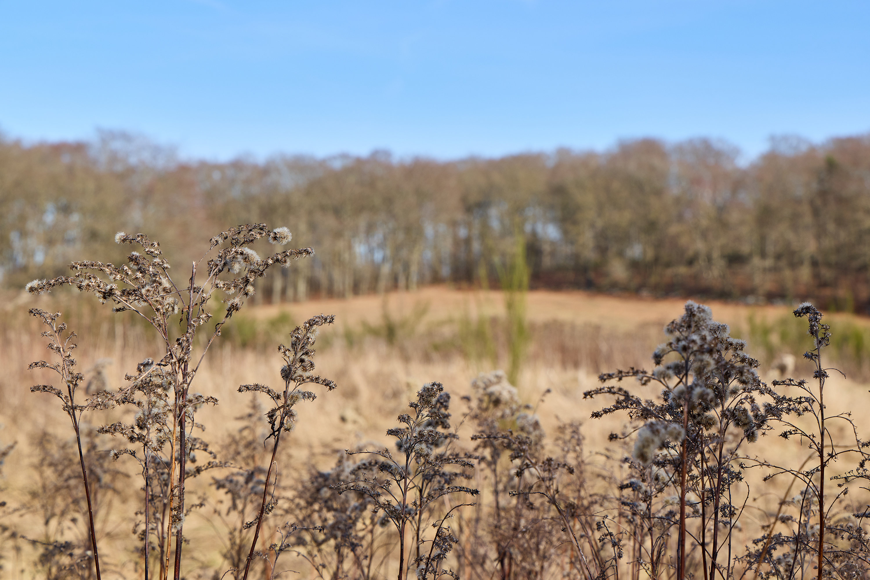 Fremhævet område billede i fuldskærmstilstand. Billede af Meransletten 1, 3630 Jægerspris