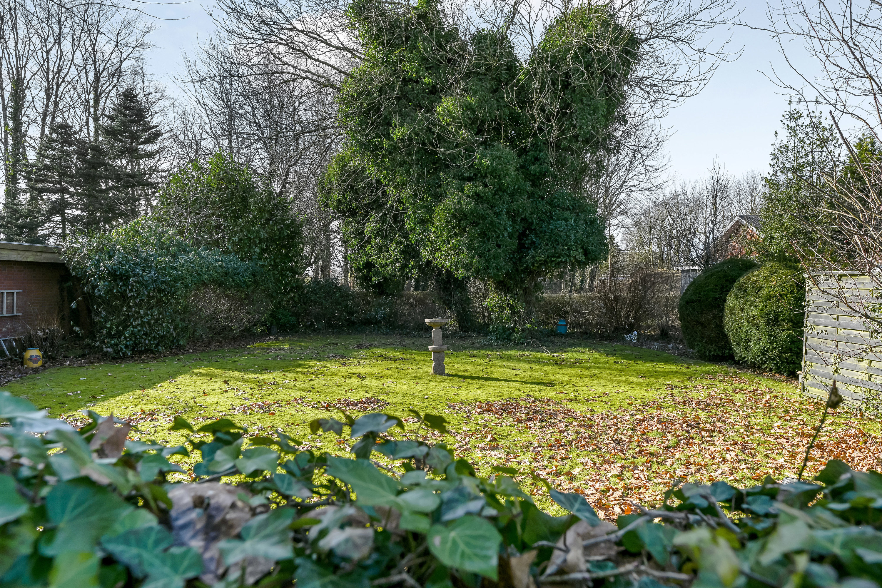 Fremhævet have billede i fuldskærmstilstand. Billede af Løvlundvej 7, 7250 Hejnsvig