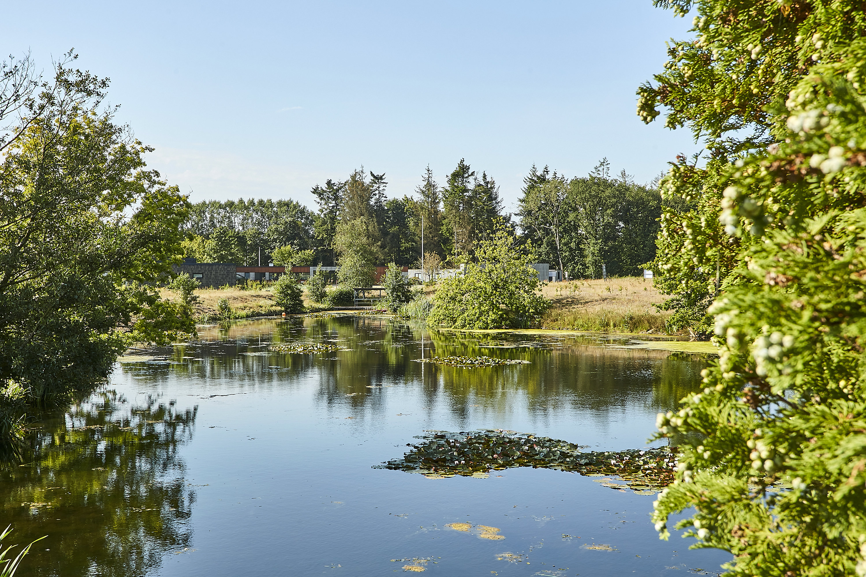 Fremhævet fællesareal - sø billede i fuldskærmstilstand. Billede af Gudenåparken 1, 7160 Tørring