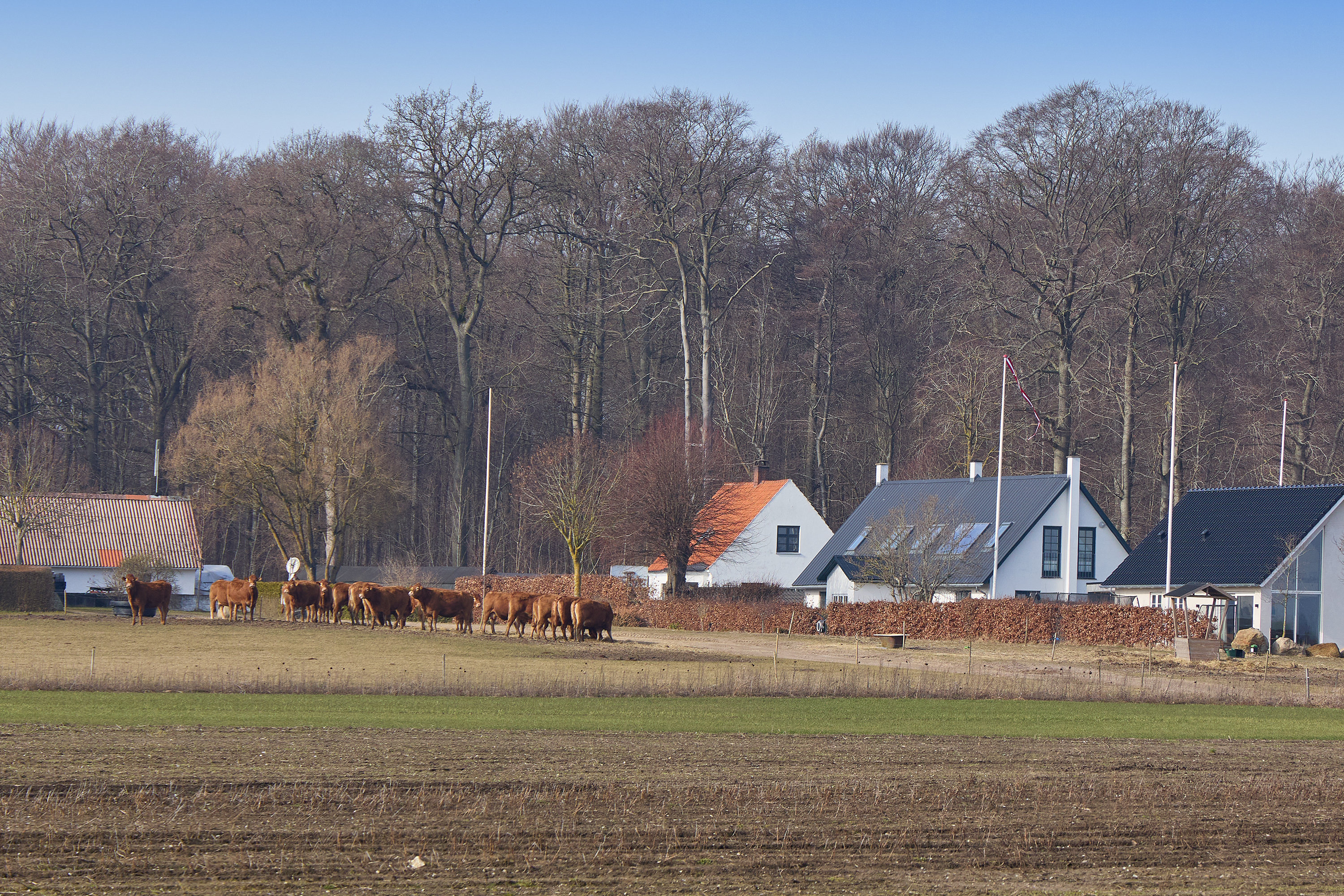 Fremhævet ejendommen billede i fuldskærmstilstand. Billede af Vænget 13, 3630 Jægerspris