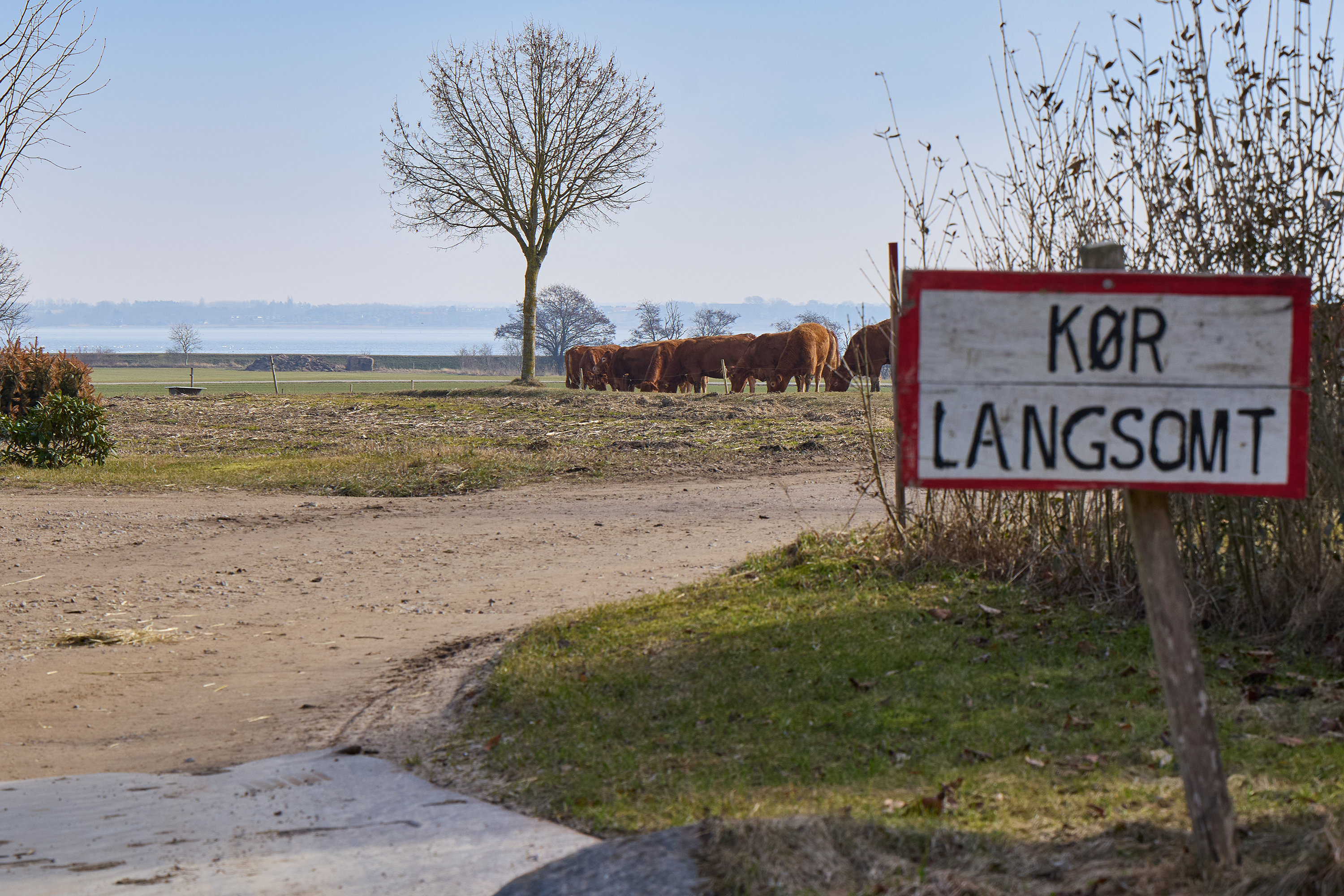 Fremhævet område billede i fuldskærmstilstand. Billede af Vænget 13, 3630 Jægerspris