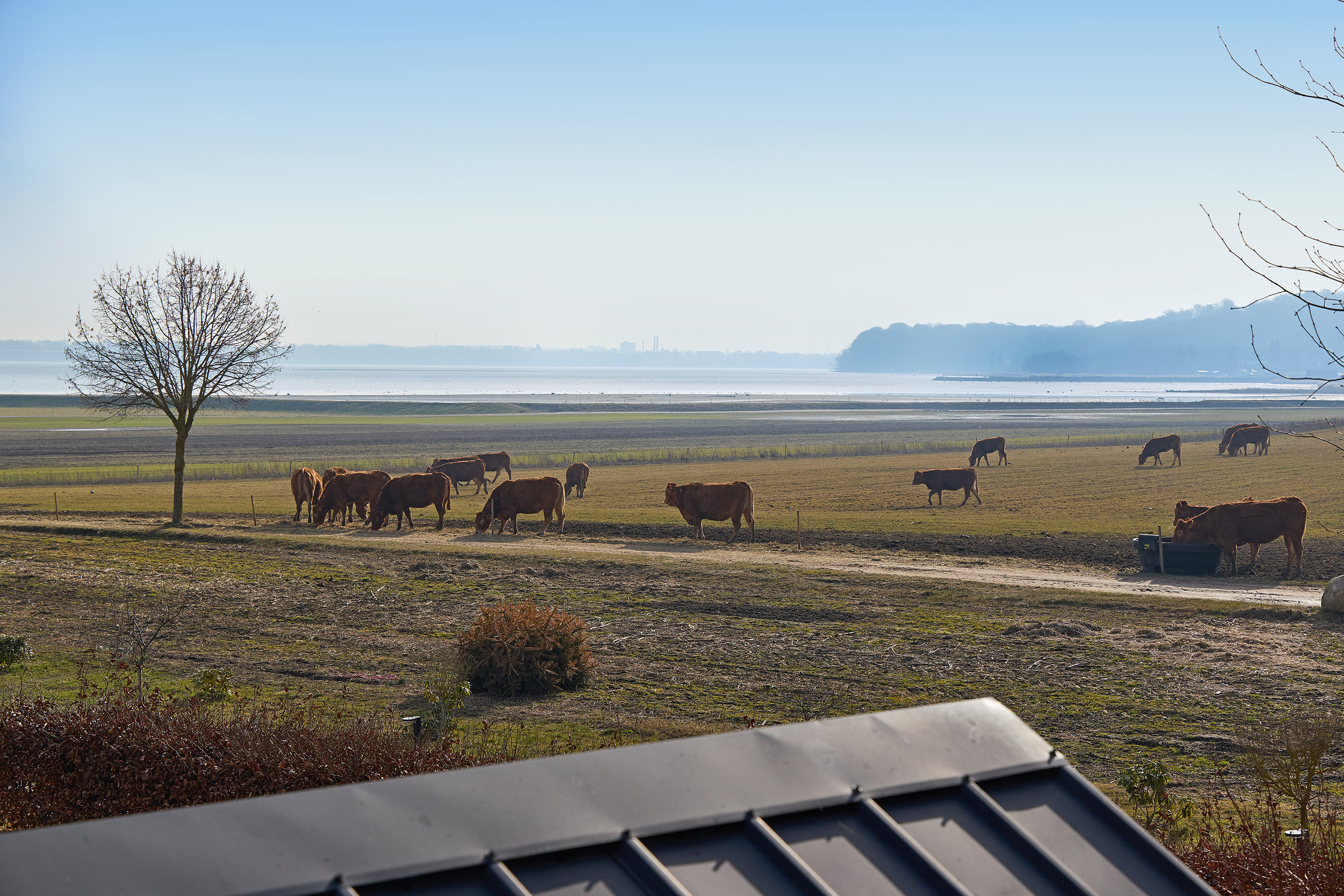 Fremhævet udsigt billede i fuldskærmstilstand. Billede af Vænget 13, 3630 Jægerspris