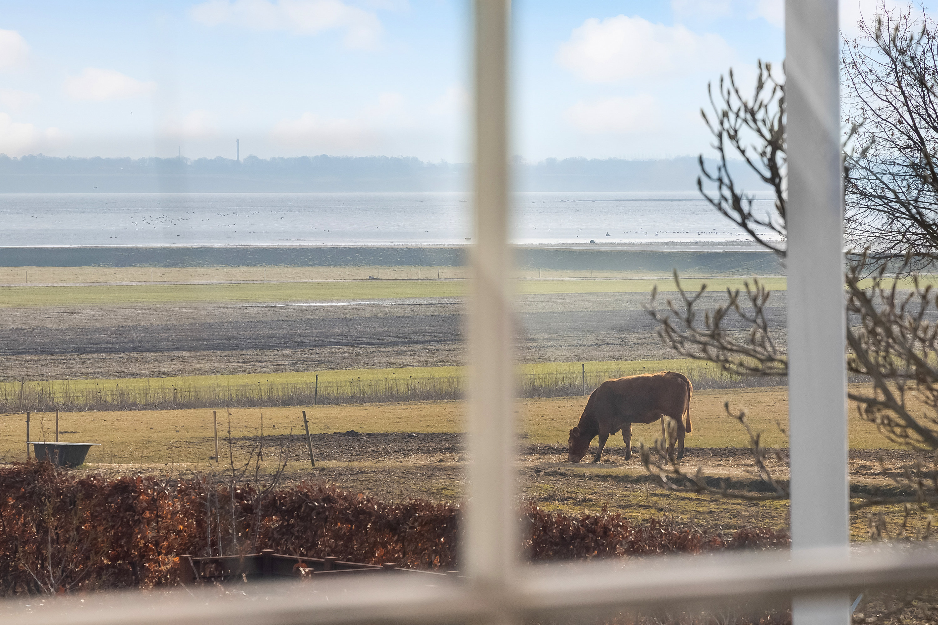 Fremhævet udsigt billede i fuldskærmstilstand. Billede af Vænget 13, 3630 Jægerspris