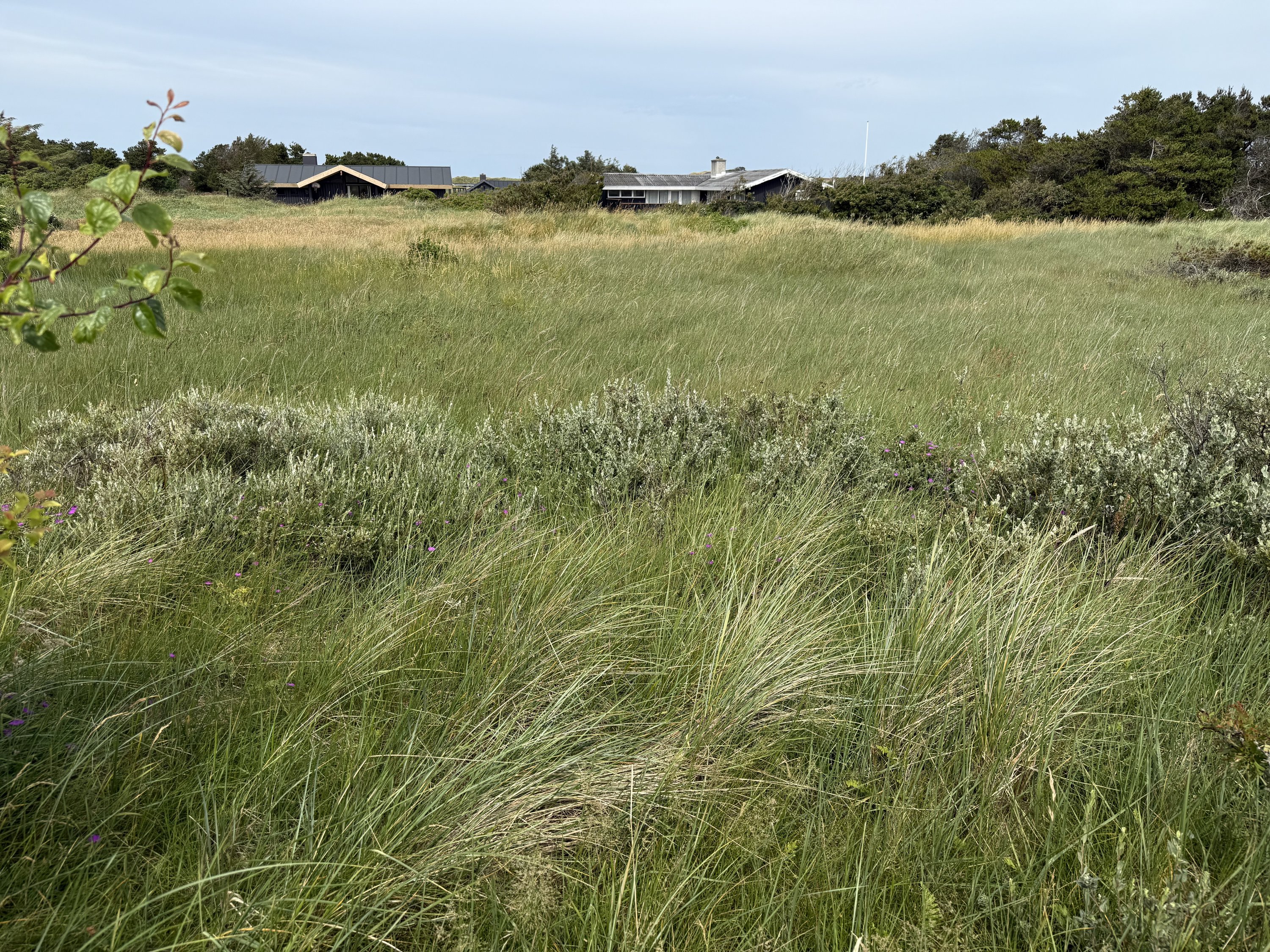 Tjørnevej 3, Tornby, 9850 Hirtshals