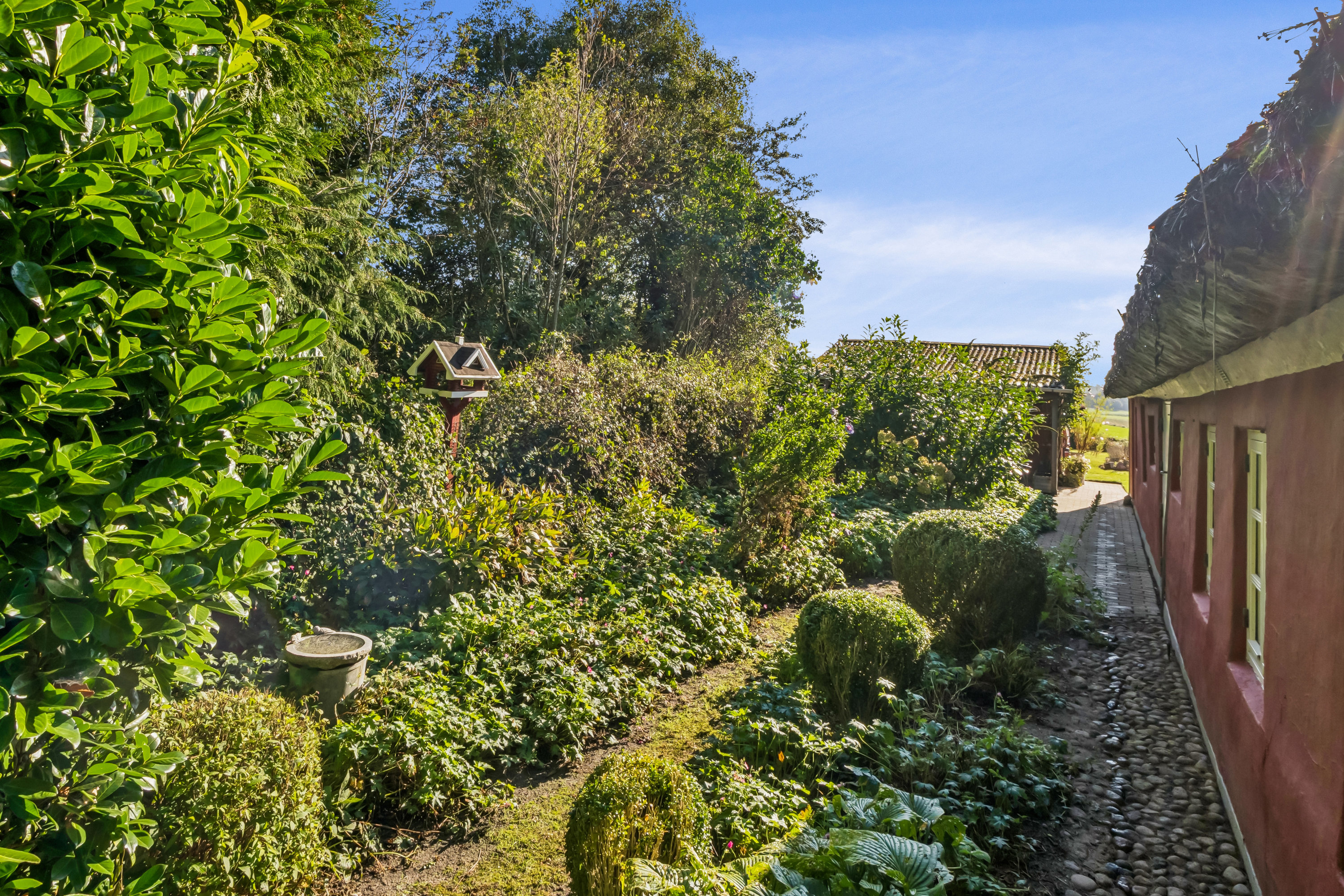 Fremhævet haven billede i fuldskærmstilstand. Billede af Højstrupvej 93, Øsløs, 7742 Vesløs