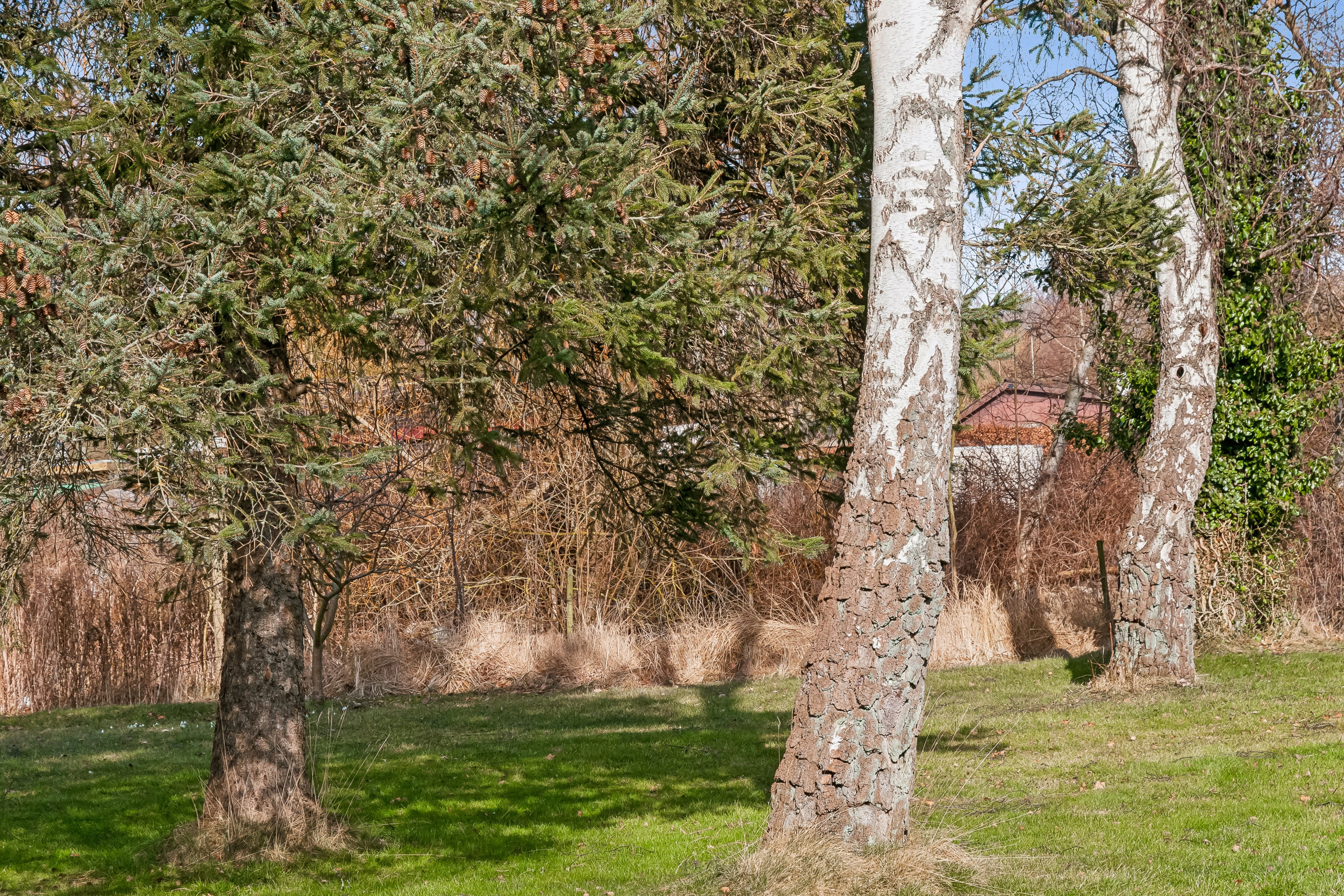 Fremhævet andet billede i fuldskærmstilstand. Billede af Kongelundsvej 652, 2791 Dragør