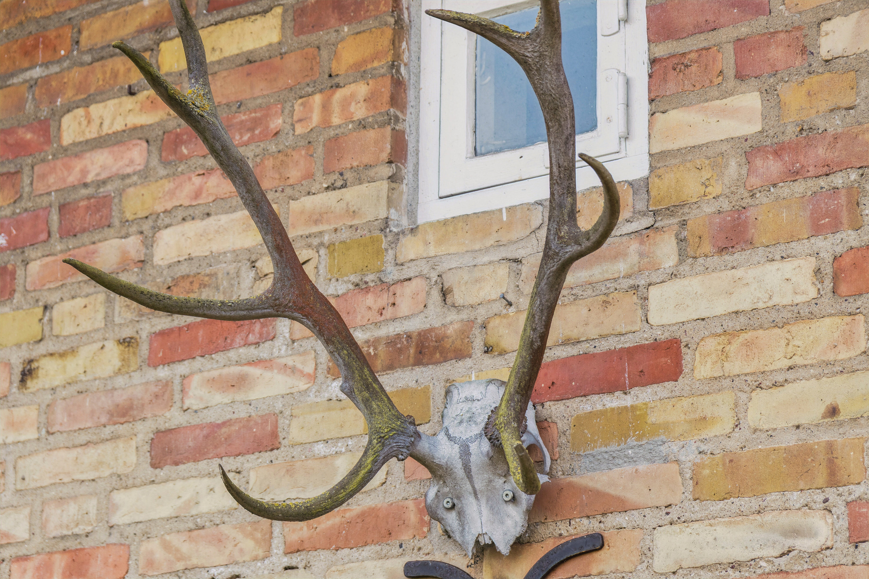 Fremhævet udendørs billede i fuldskærmstilstand. Billede af Skovfryd 9, 2800 Kongens Lyngby