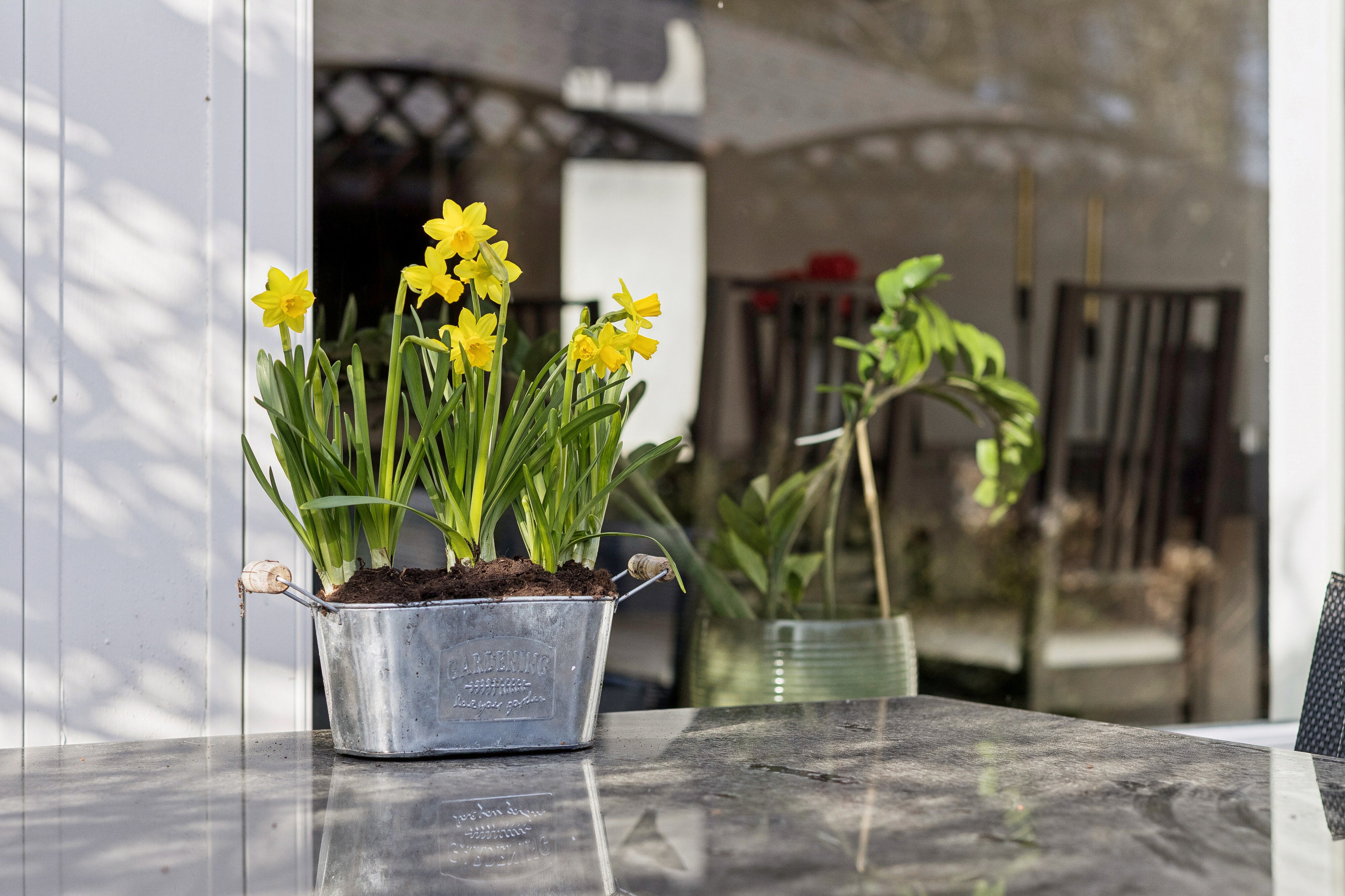 Fremhævet indendørs billede i fuldskærmstilstand. Billede af Fasanvej 18, 5863 Ferritslev Fyn