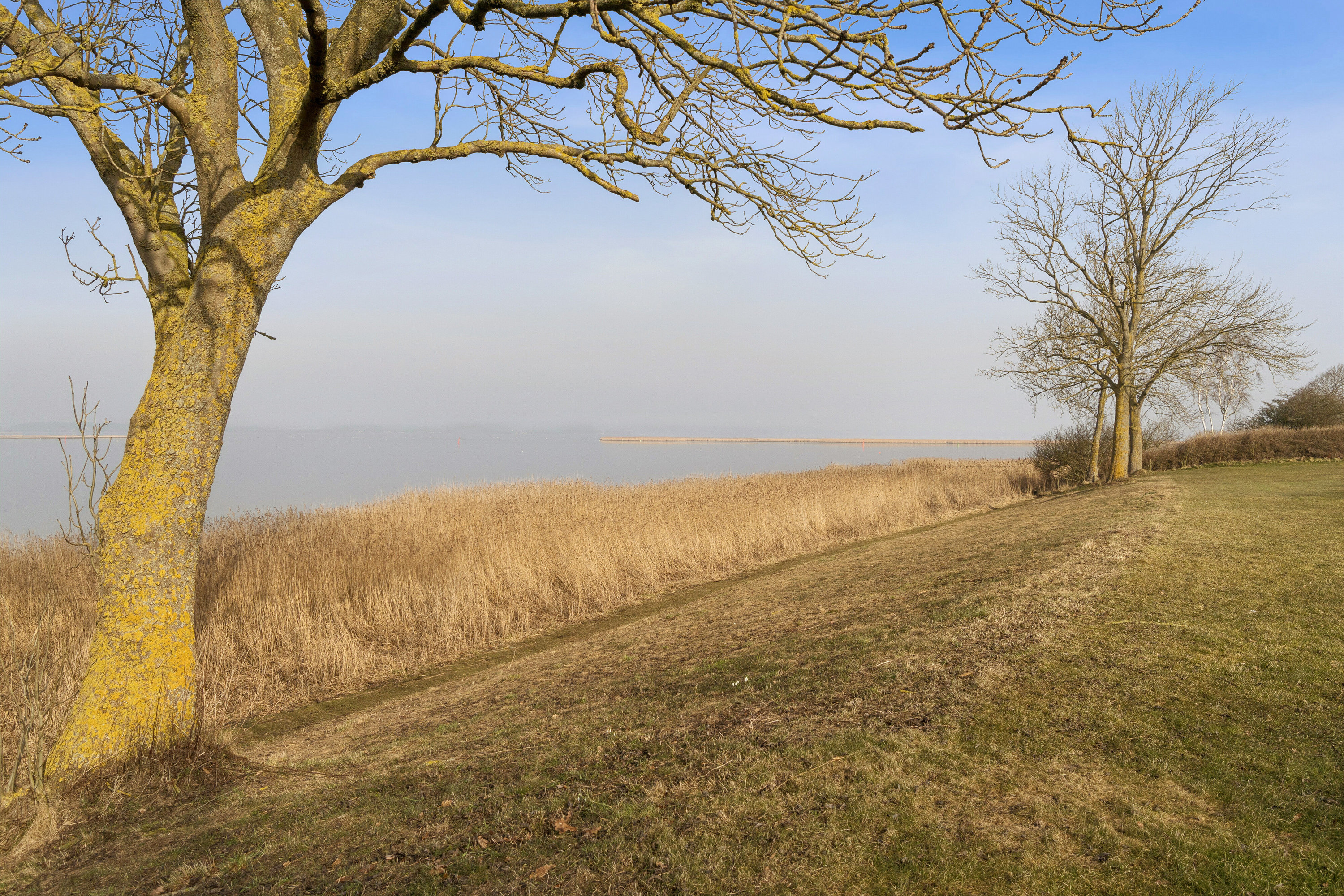 Fremhævet set fra haven billede i fuldskærmstilstand. Billede af Kirsebærvej 32, 4720 Præstø