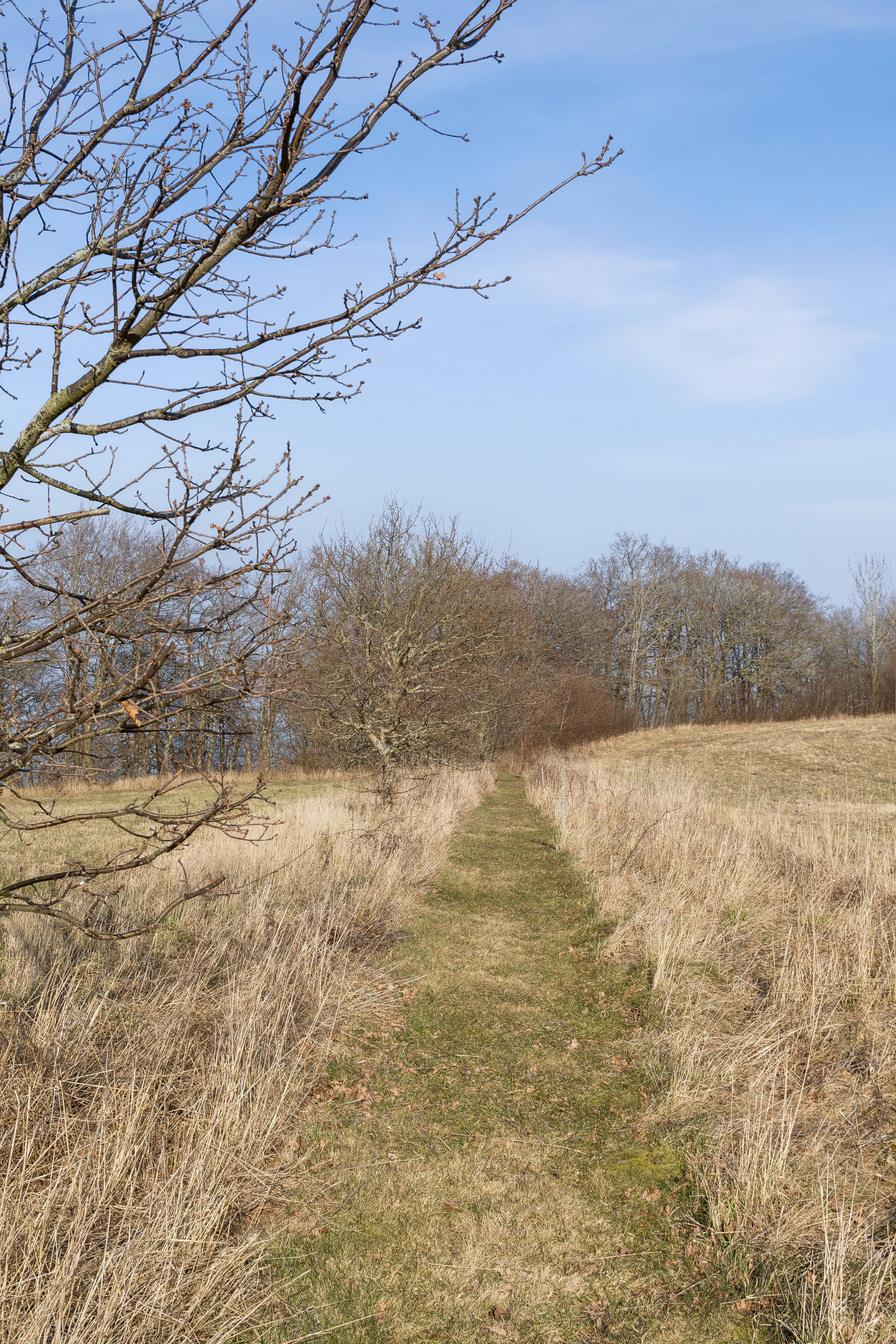 Fremhævet udendørs billede i fuldskærmstilstand. Billede af Helligdomsvej 15, Rø, 3760 Gudhjem