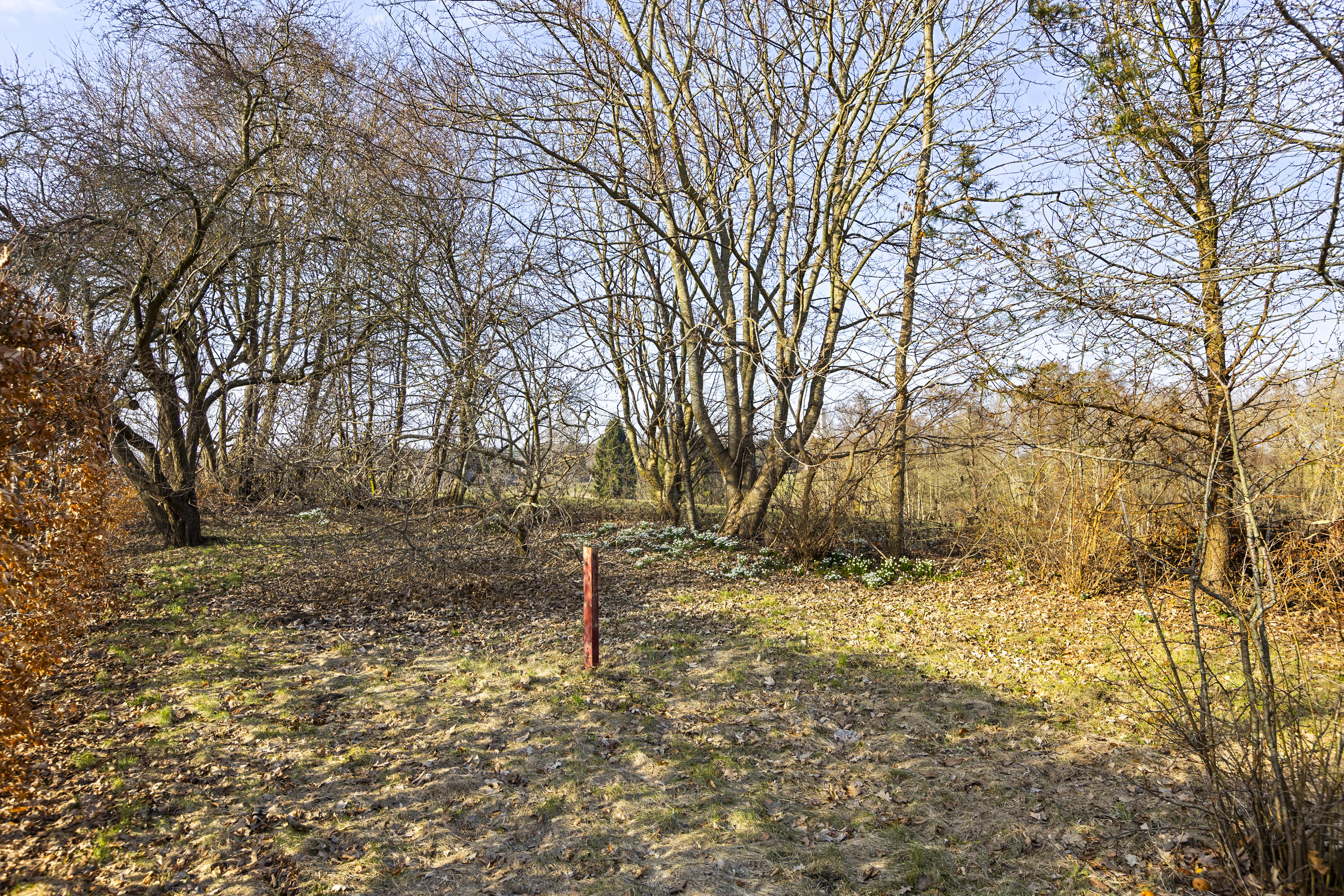 Fremhævet have billede i fuldskærmstilstand. Billede af Kalundborgvej 102, 4190 Munke Bjergby
