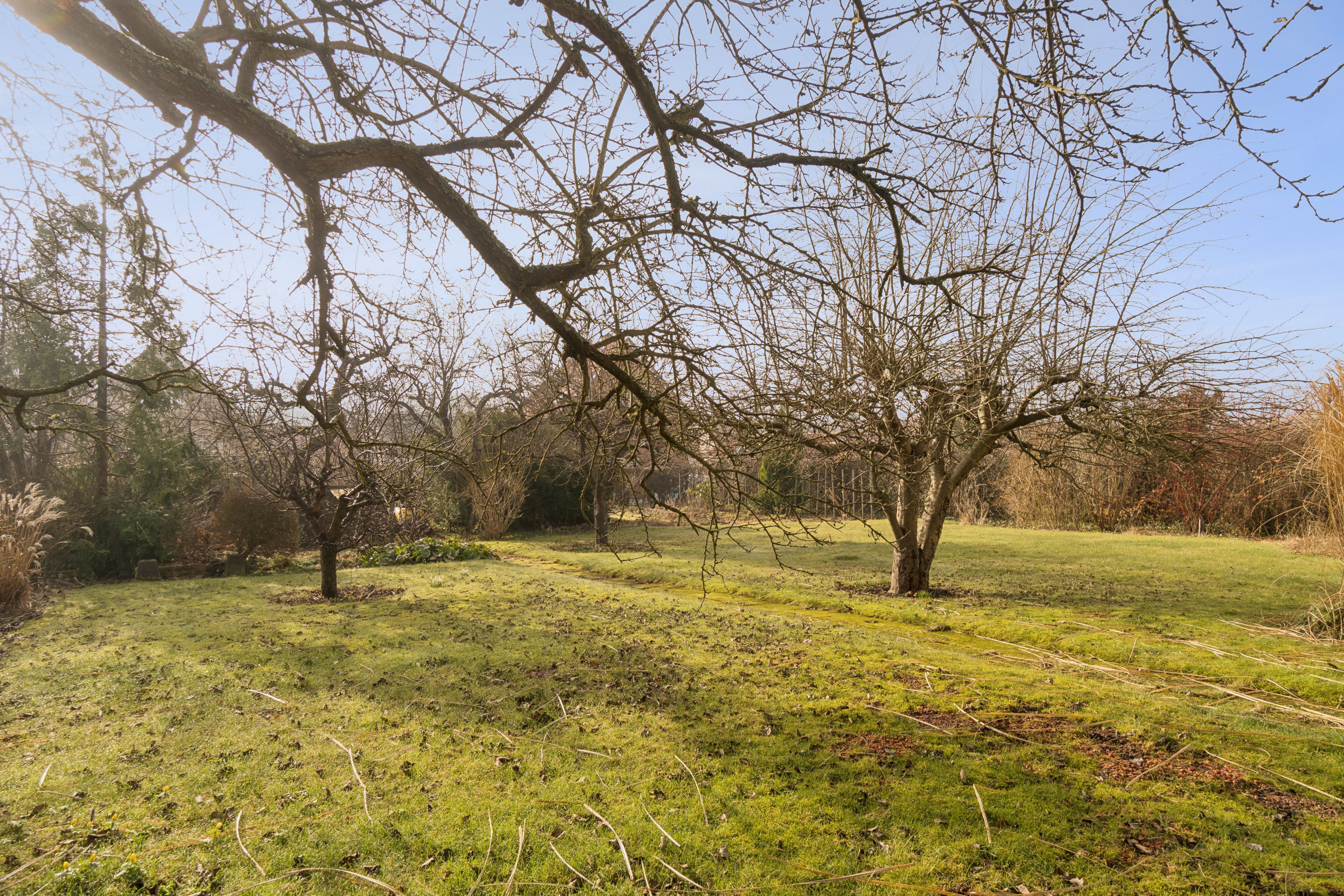 Fremhævet have billede i fuldskærmstilstand. Billede af Brorsonsvej 6, 8260 Viby J