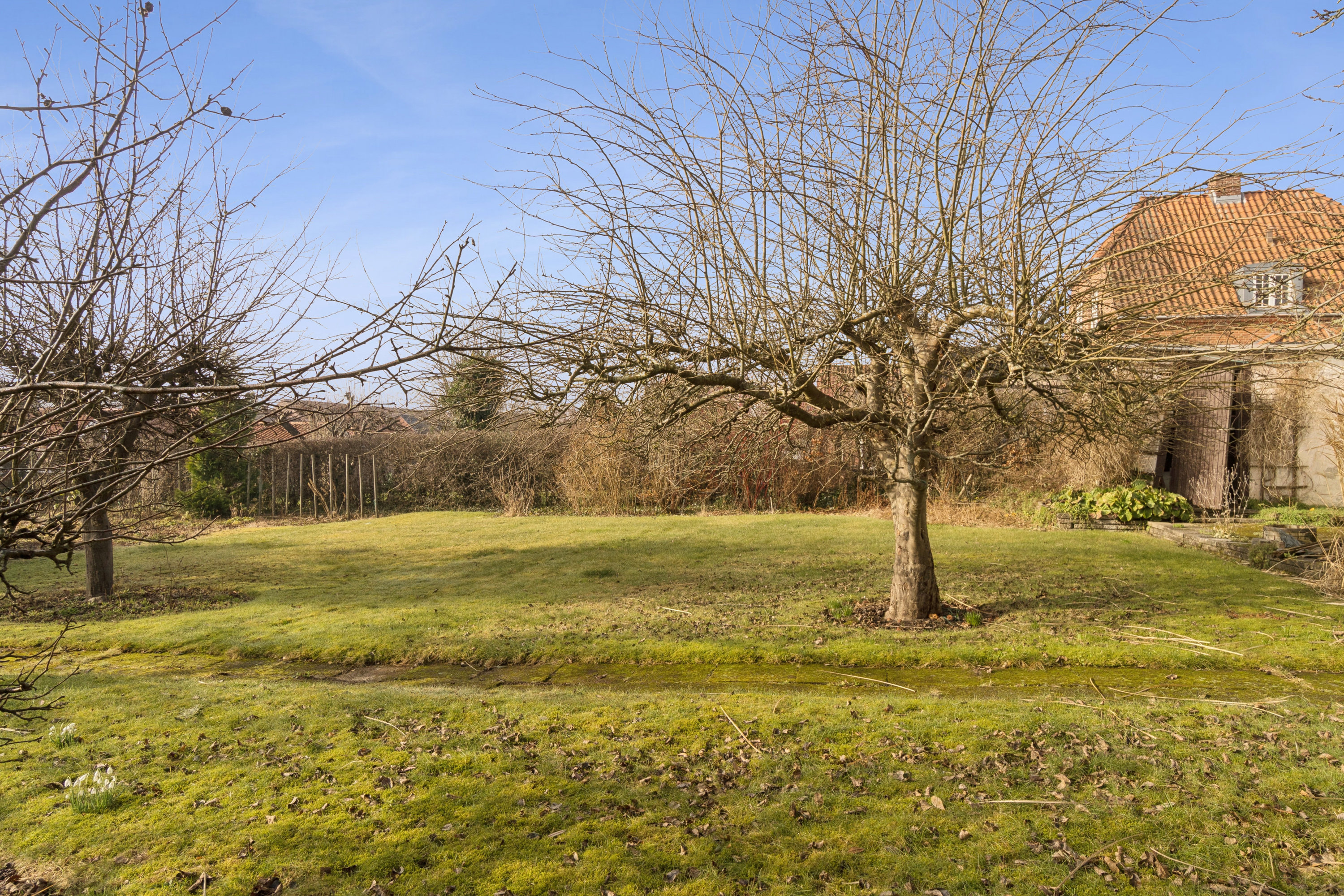 Fremhævet have billede i fuldskærmstilstand. Billede af Brorsonsvej 6, 8260 Viby J