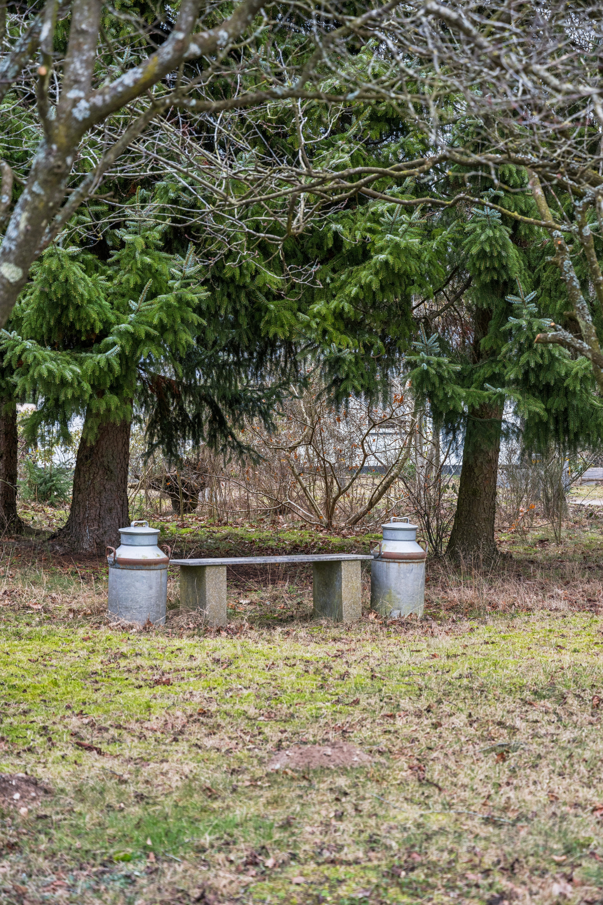 Fremhævet have billede i fuldskærmstilstand. Billede af Kornvangen 5, Boeslum, 8400 Ebeltoft