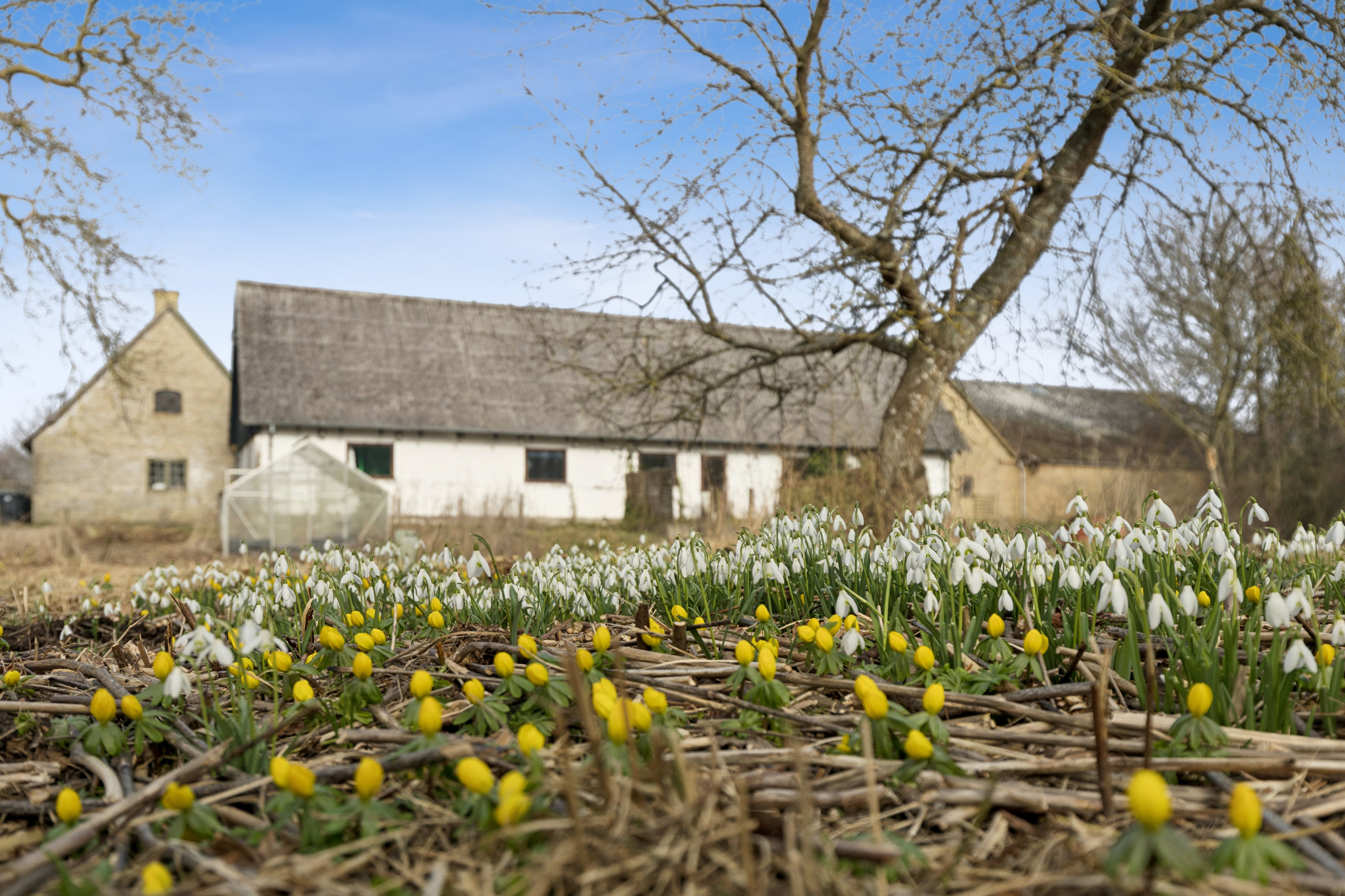 Fremhævet ejendom billede i fuldskærmstilstand. Billede af Sørningevej 11A, Brokøb, 4450 Jyderup