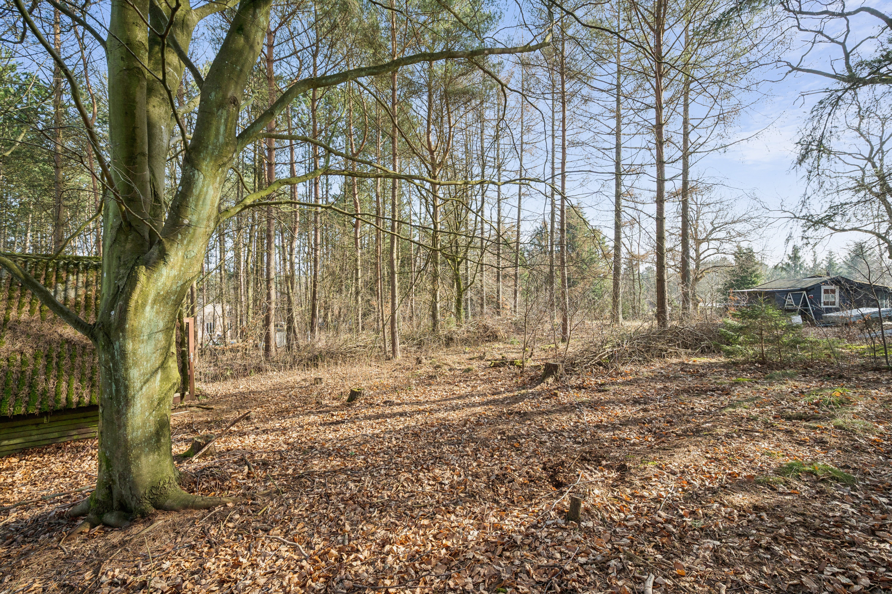 Fremhævet have billede i fuldskærmstilstand. Billede af Svalevej 13, Fuglslev, 8400 Ebeltoft