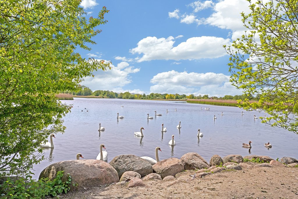 Fremhævet  billede i fuldskærmstilstand. Billede af Mosevangen 23, 2860 Søborg
