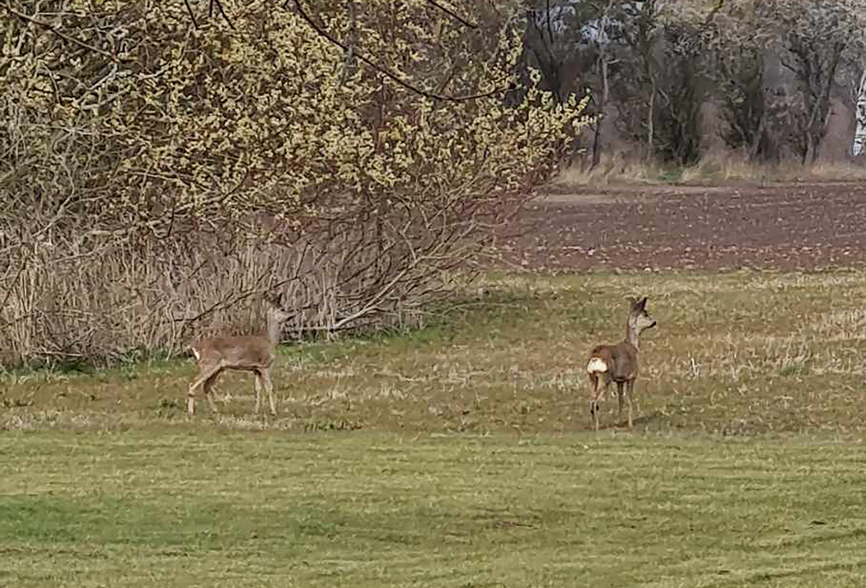 Fremhævet  billede i fuldskærmstilstand. Billede af Ørebjergvej 12, Tornemark, 4262 Sandved