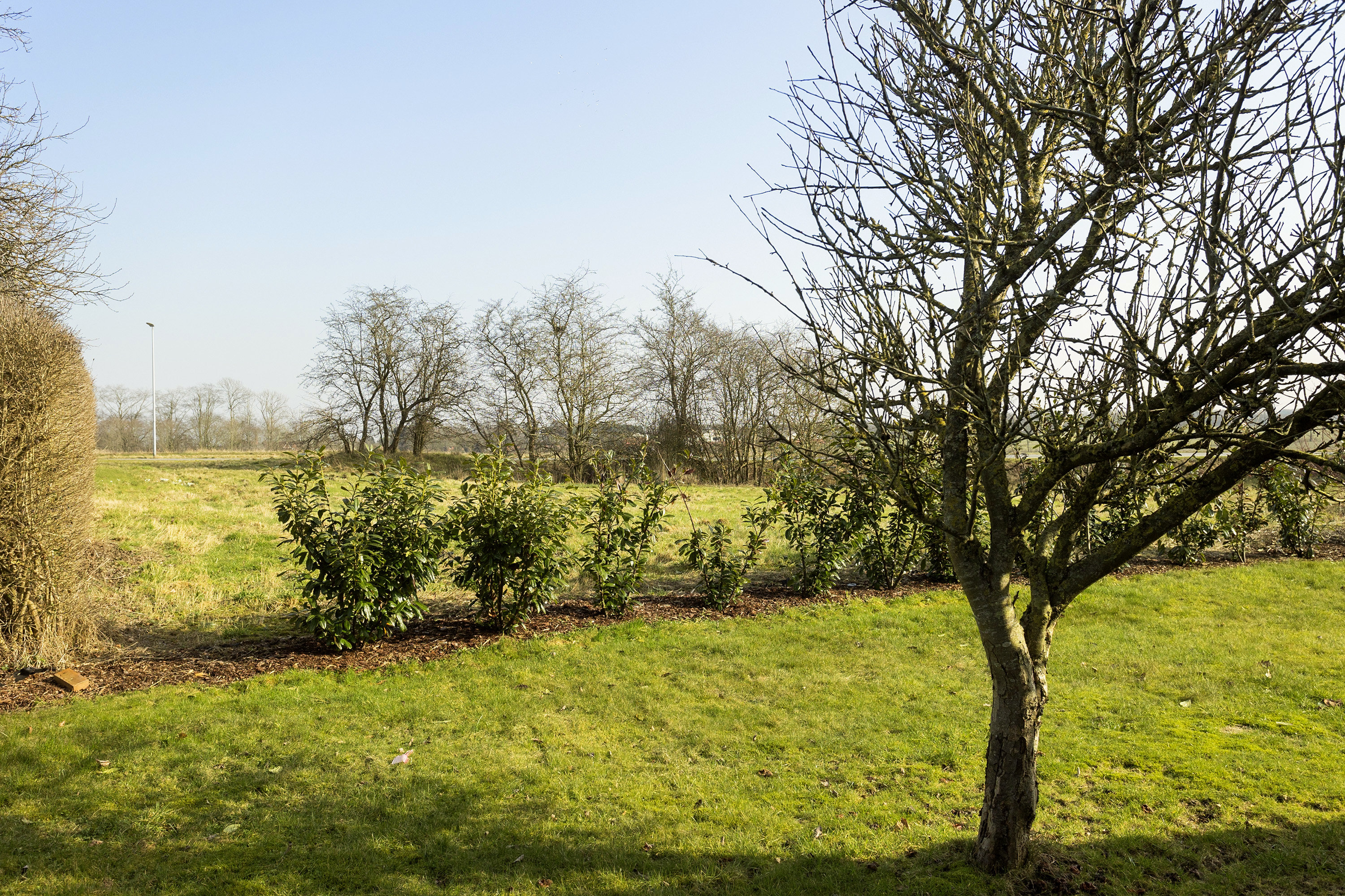 Fremhævet område billede i fuldskærmstilstand. Billede af Rugtoften 76, Skodborg, 6630 Rødding