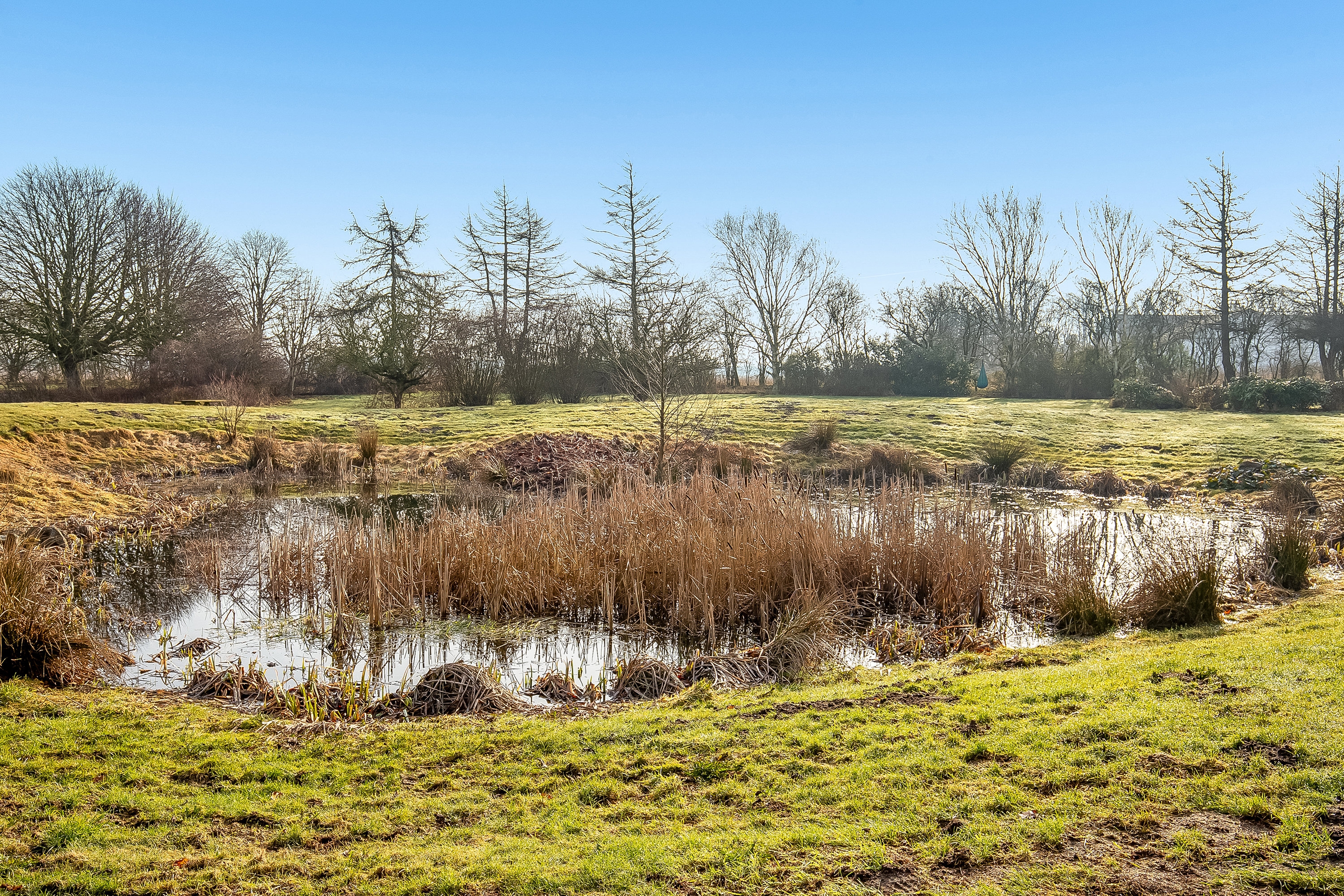 Fremhævet jordtilliggende billede i fuldskærmstilstand. Billede af Ødisvej 13, 6580 Vamdrup