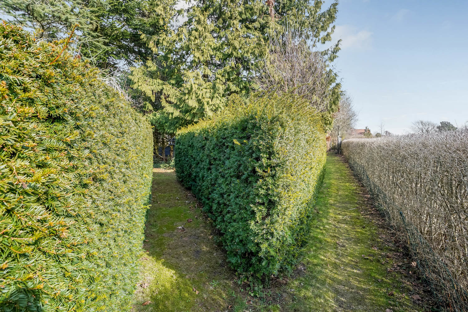 Fremhævet  billede i fuldskærmstilstand. Billede af Hårevej 65, Håre, 5591 Gelsted