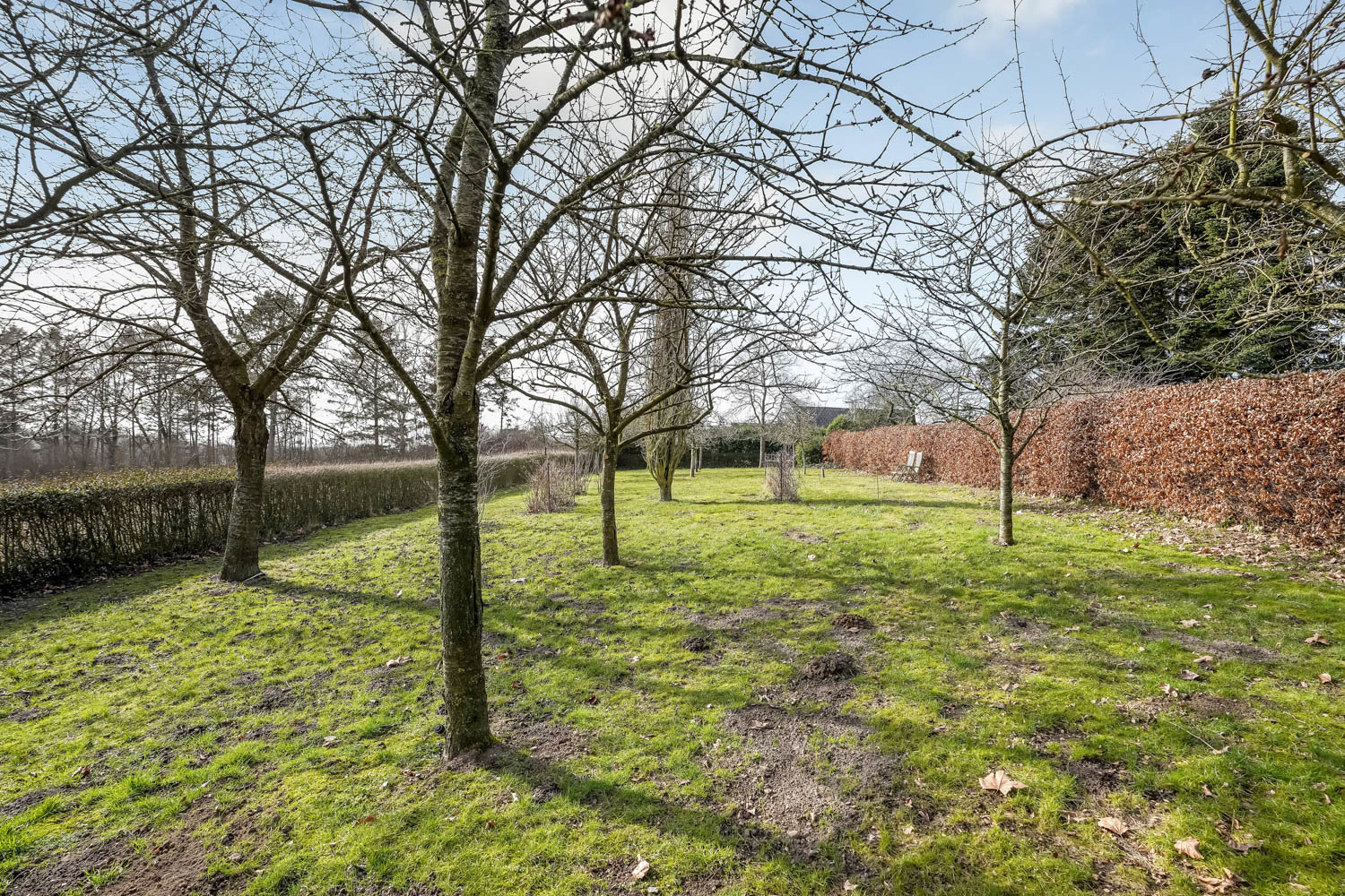 Fremhævet  billede i fuldskærmstilstand. Billede af Hårevej 65, Håre, 5591 Gelsted