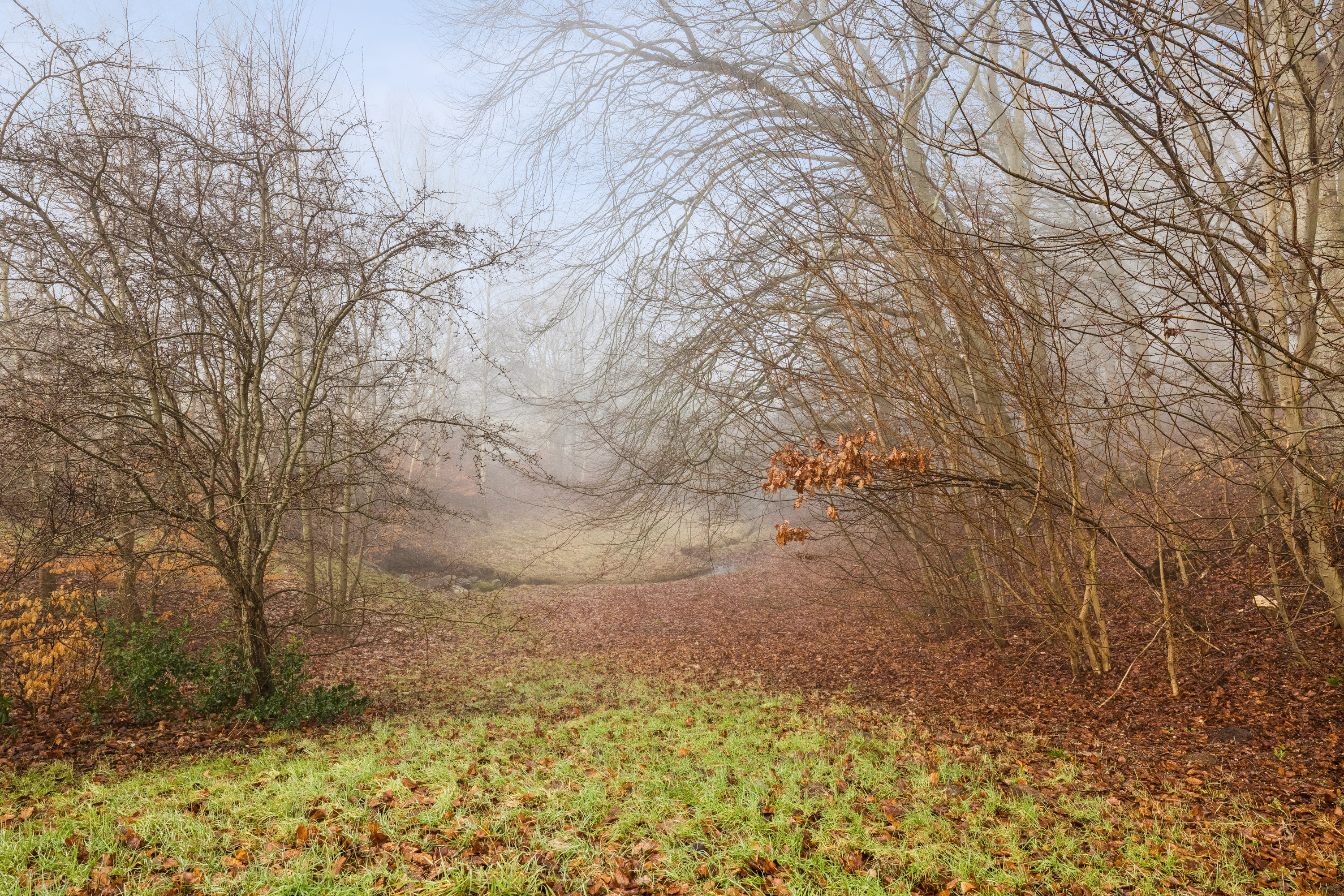 Fremhævet grund billede i fuldskærmstilstand. Billede af Dalvej 4, 8800 Viborg